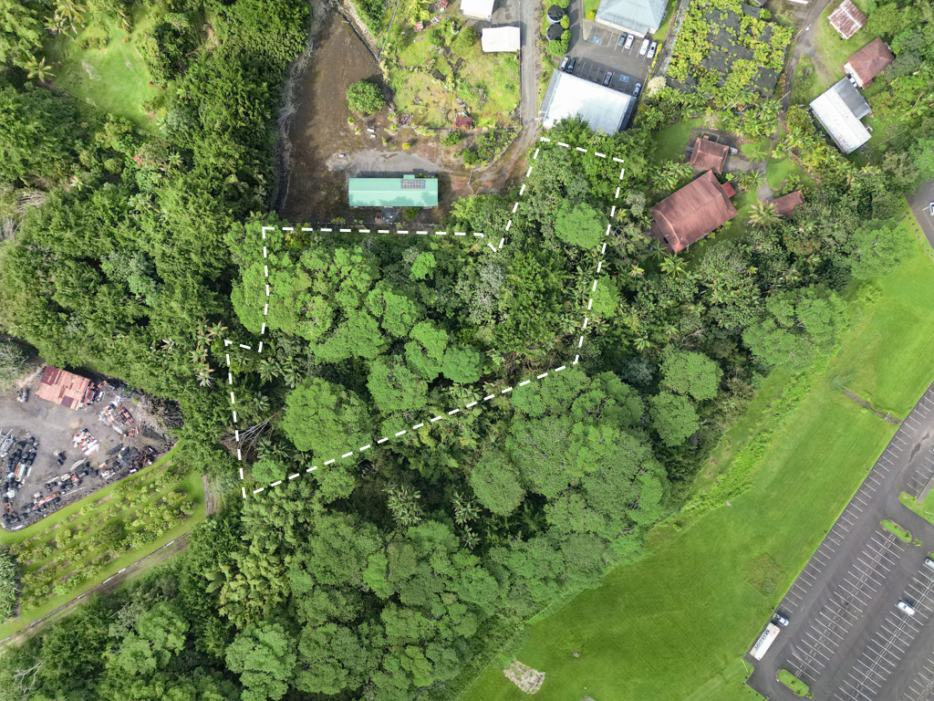Pahoa Village Rd Property Photo 2