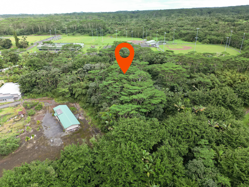 Pahoa Village Rd Property Photo 7