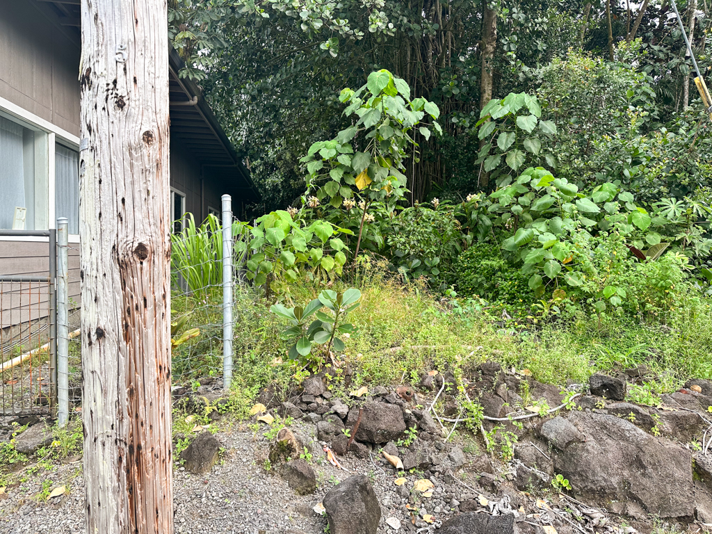 Pahoa Village Rd Property Photo 9