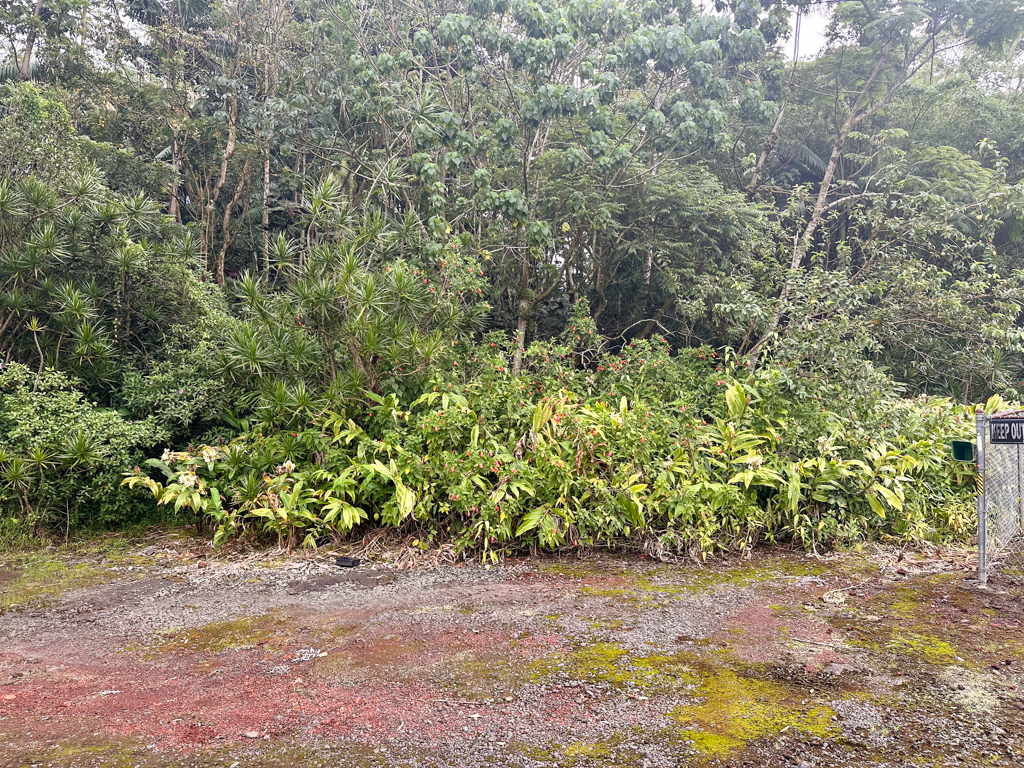 Pahoa Village Rd Property Photo 11