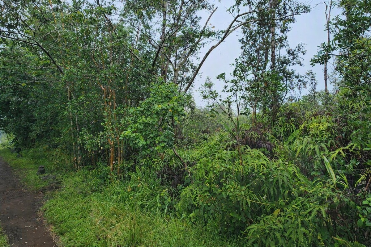 Road 2 (ao) Property Photo 1