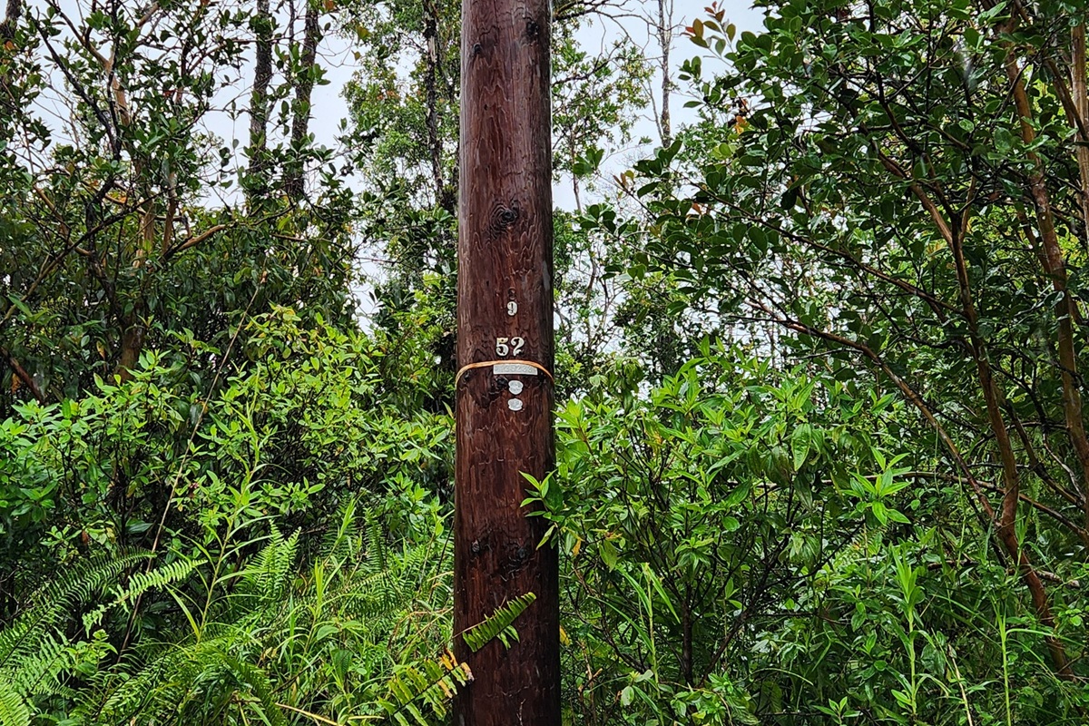 Road 2 (ao) Property Photo 3