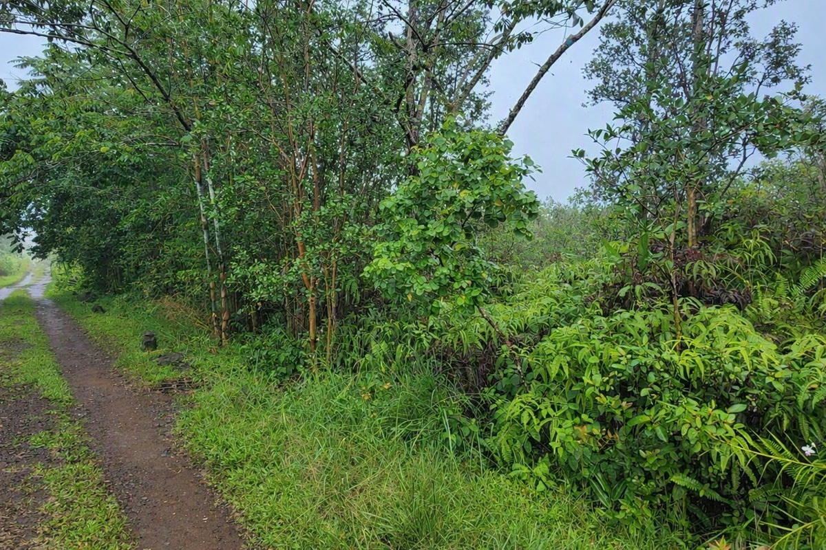 Road 2 (ao) Property Photo 5