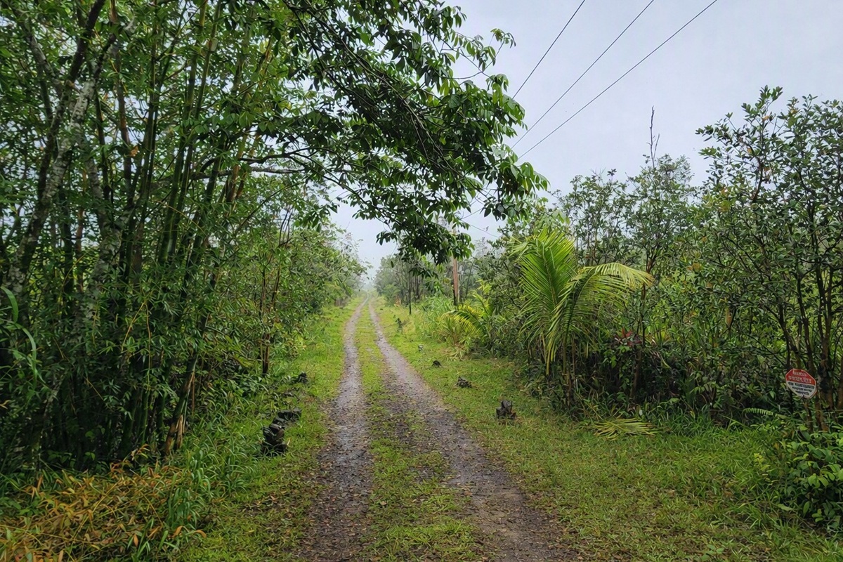 Road 2 (ao) Property Photo 6
