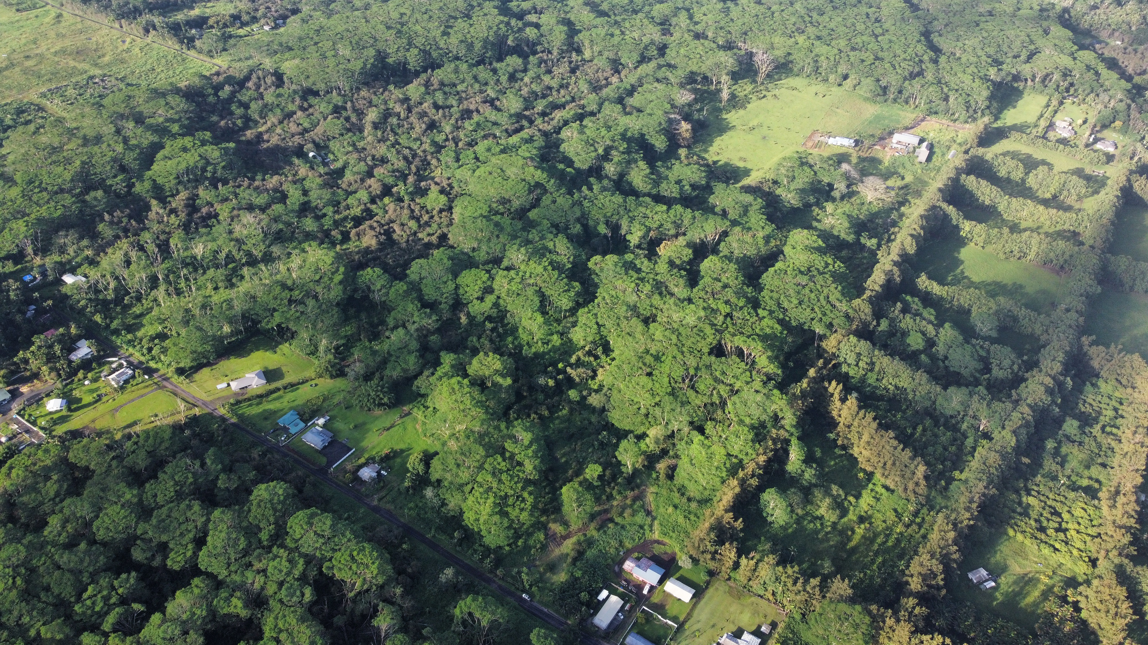 17-4070 Kukui Camp Rd Property Photo 2