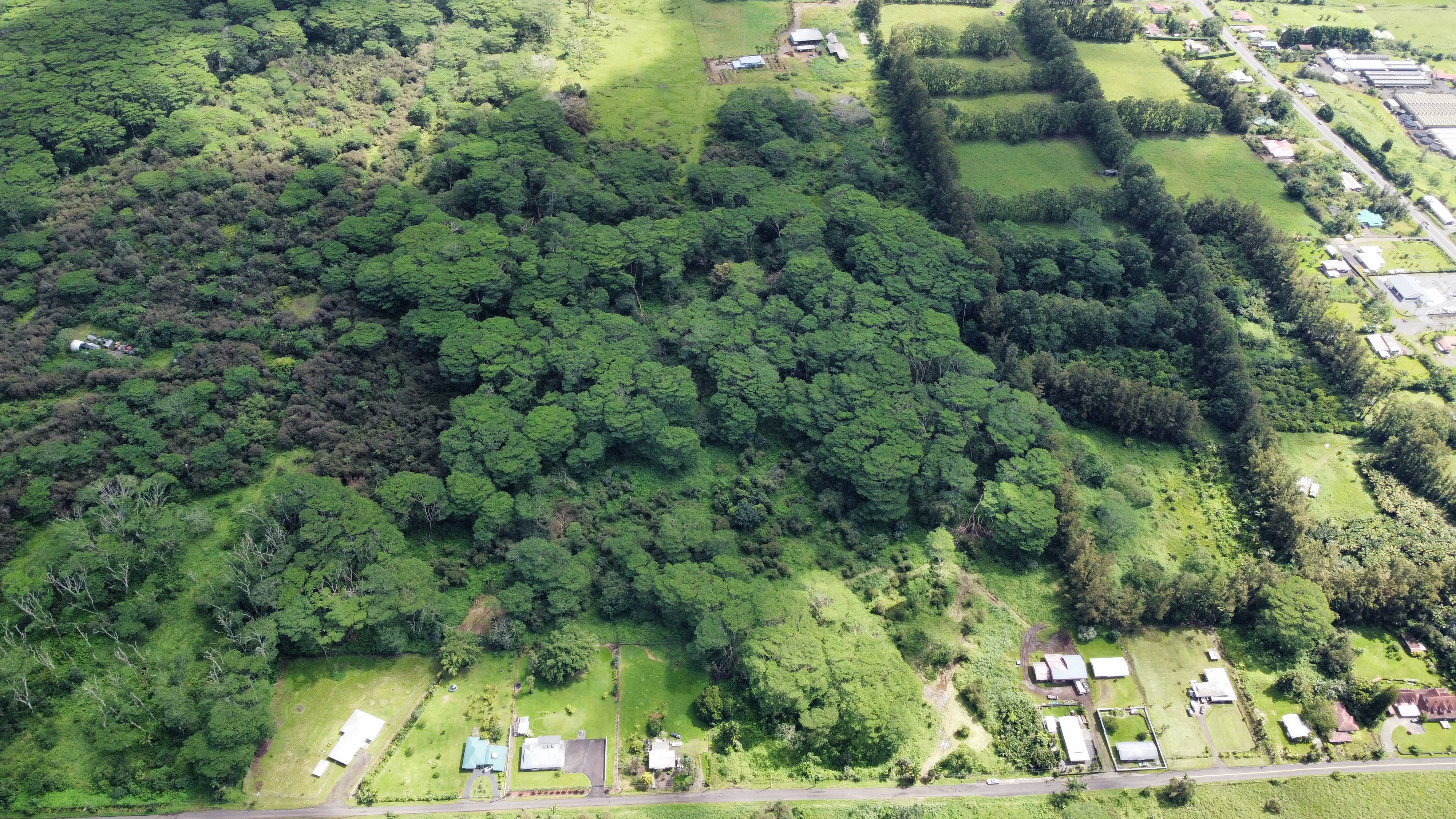 17-4070 Kukui Camp Rd Property Photo 3