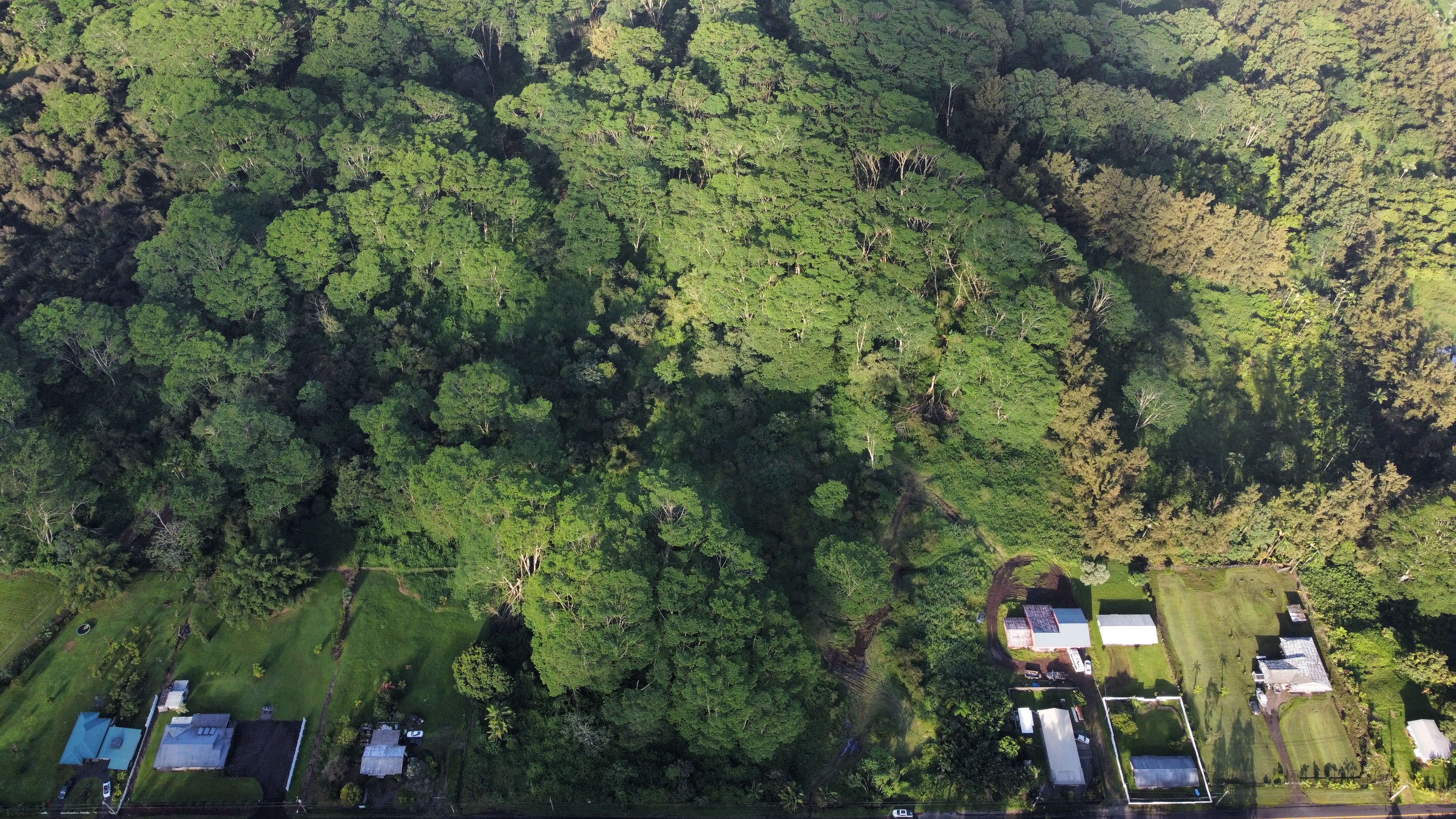 17-4070 Kukui Camp Rd Property Photo 4