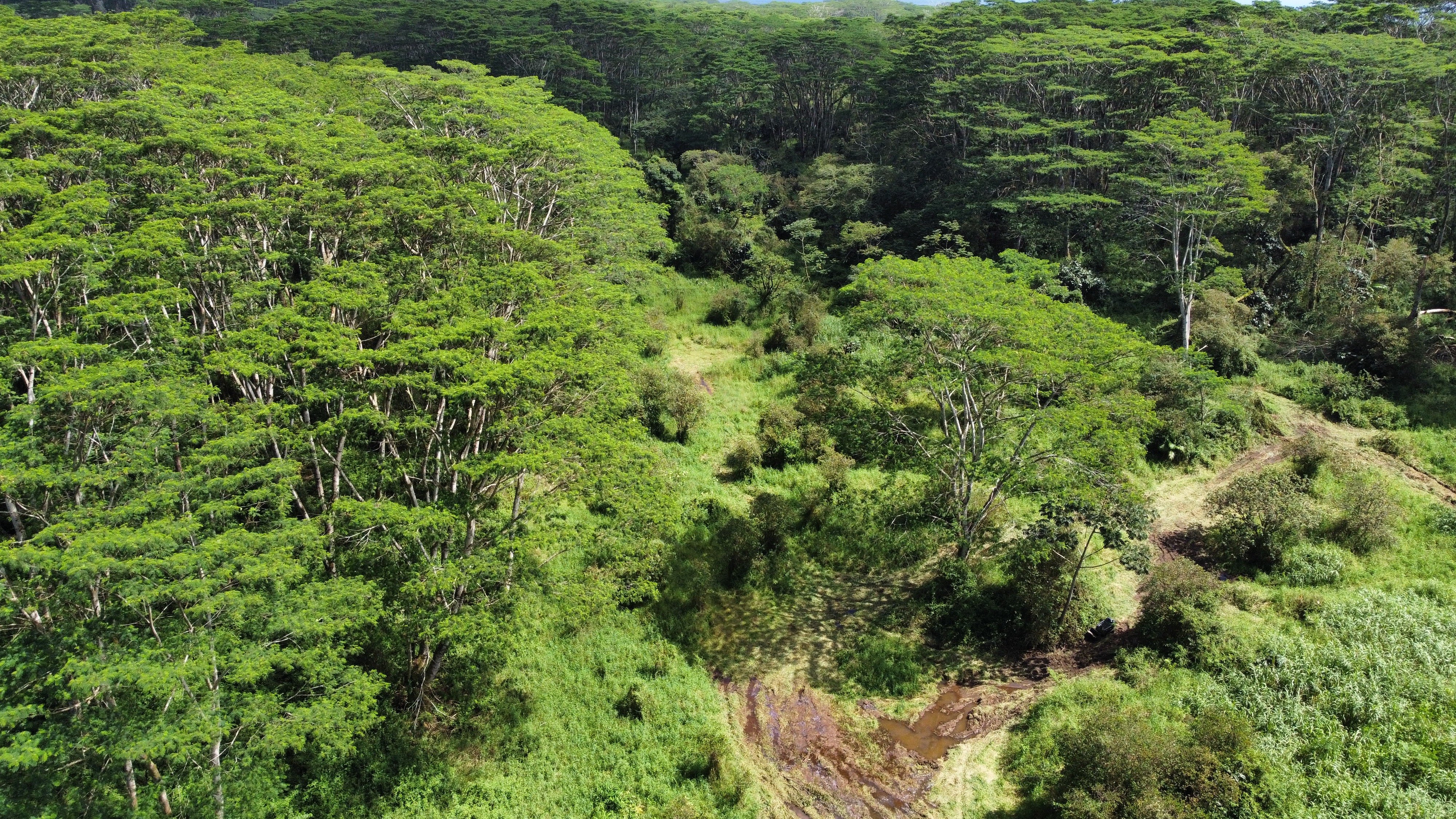 17-4070 Kukui Camp Rd Property Photo 5