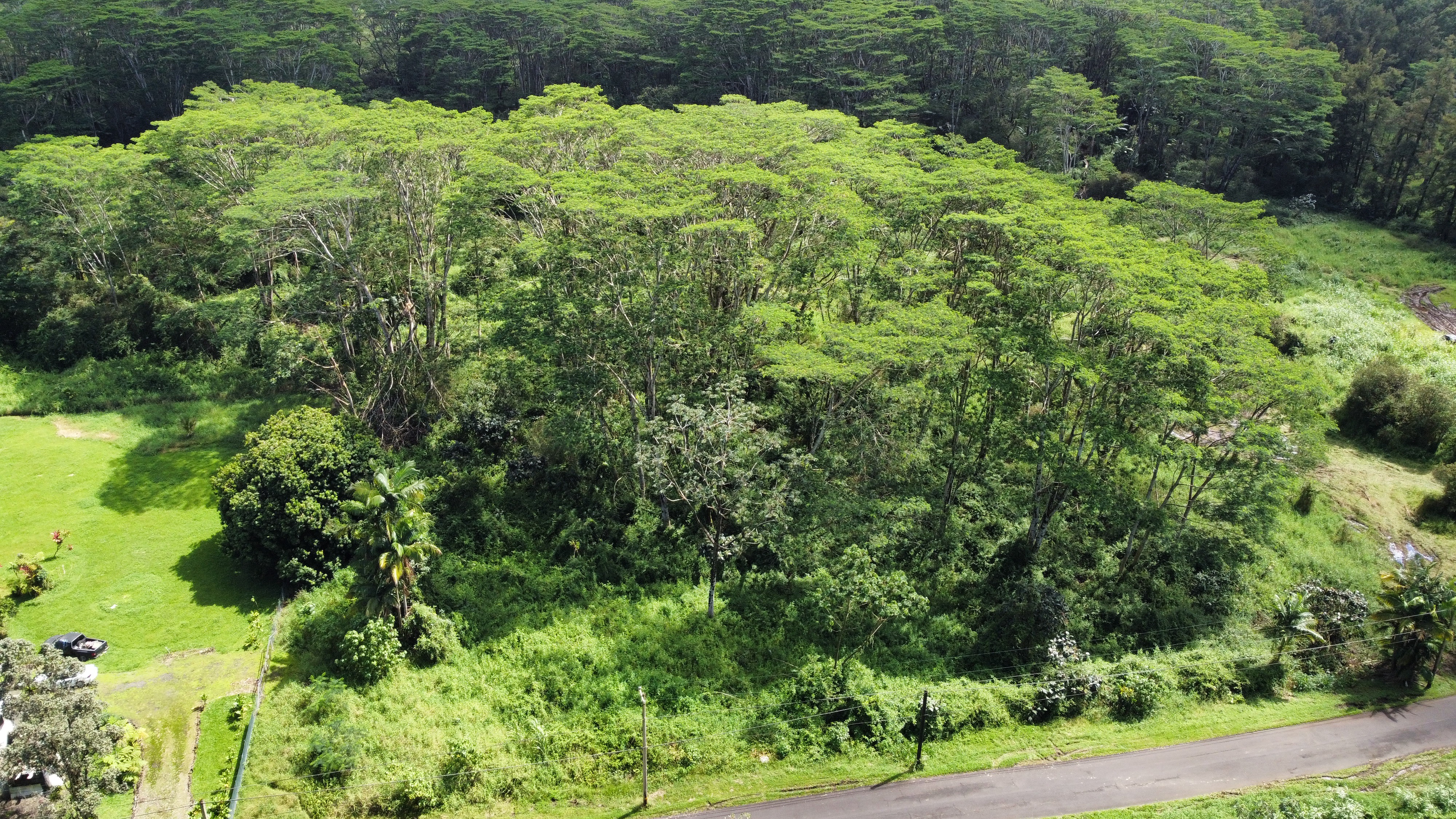 17-4070 Kukui Camp Rd Property Photo 6