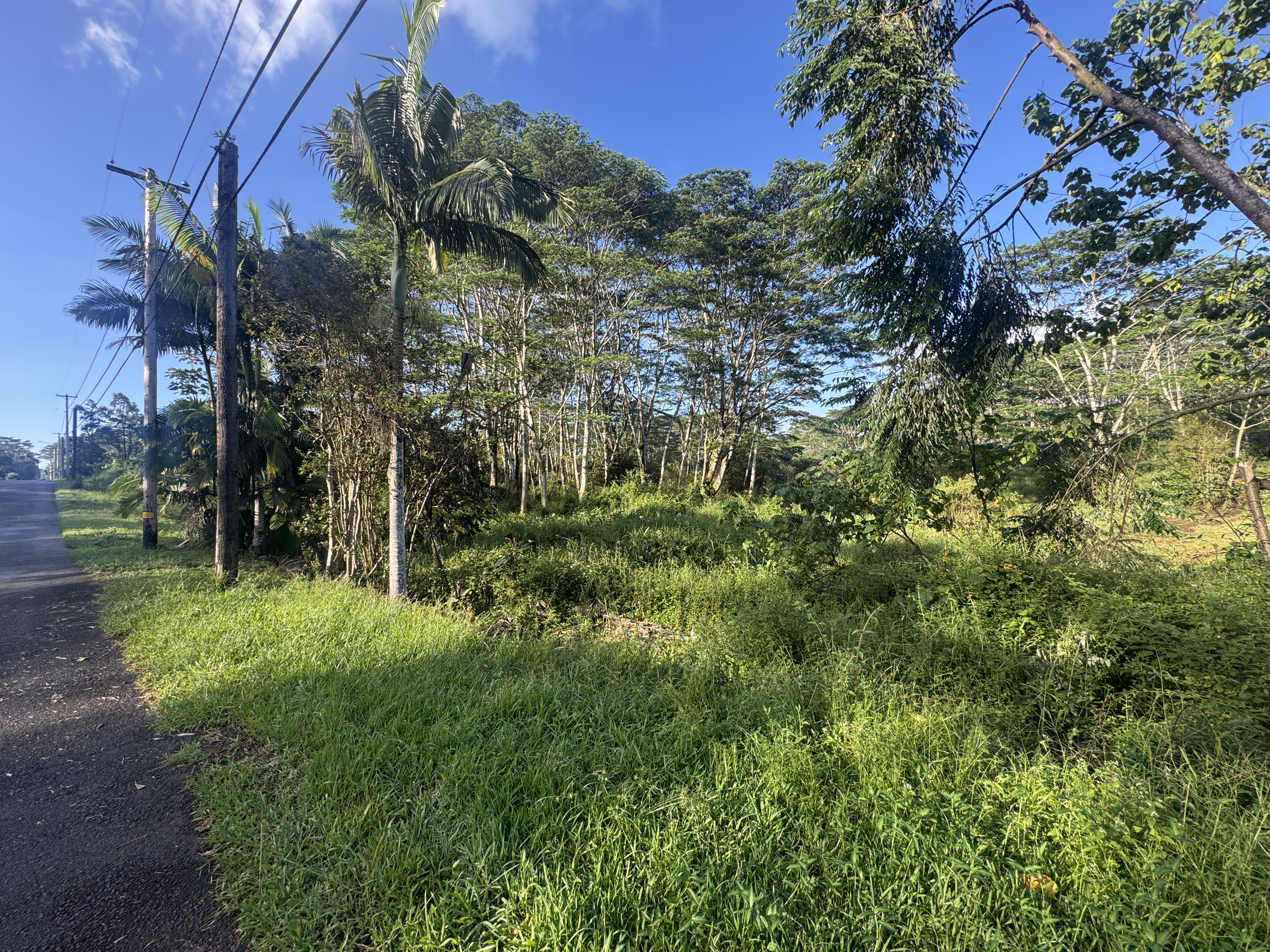 17-4070 Kukui Camp Rd Property Photo 7