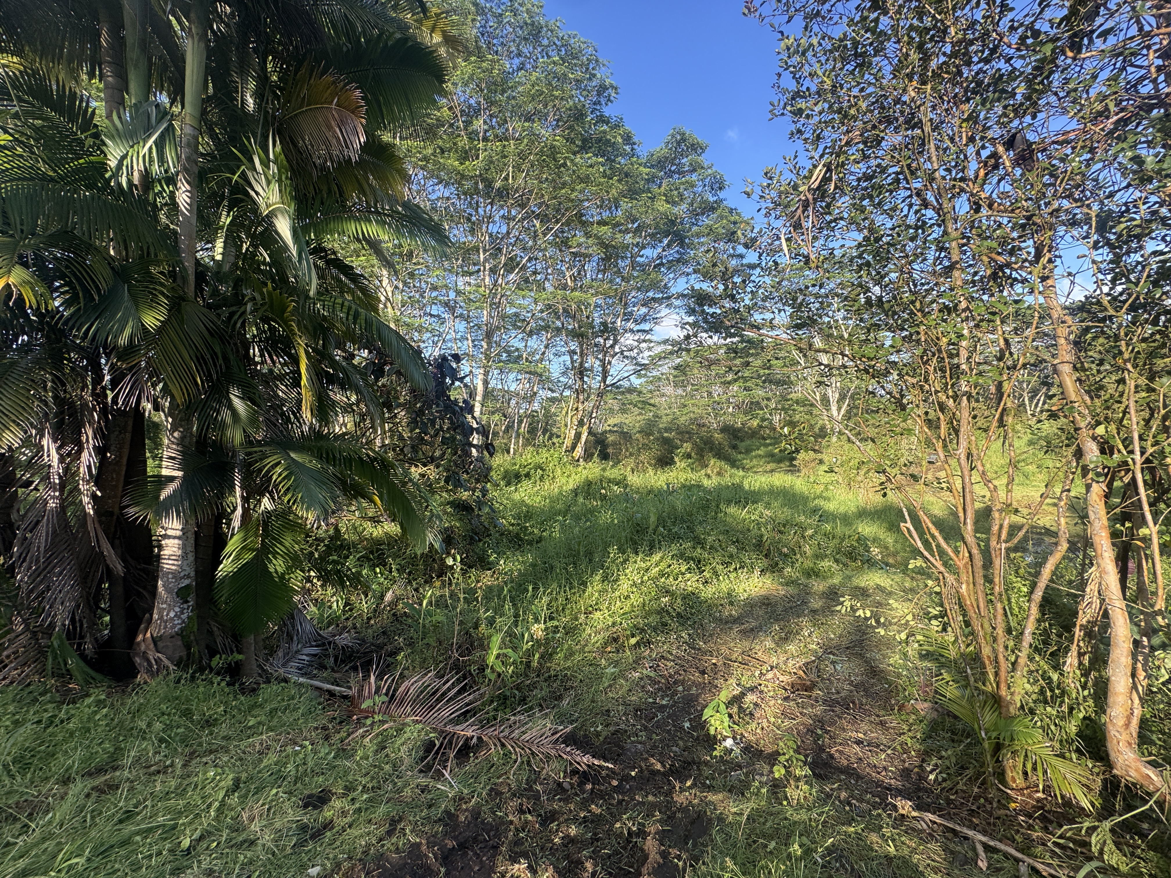 17-4070 Kukui Camp Rd Property Photo 8