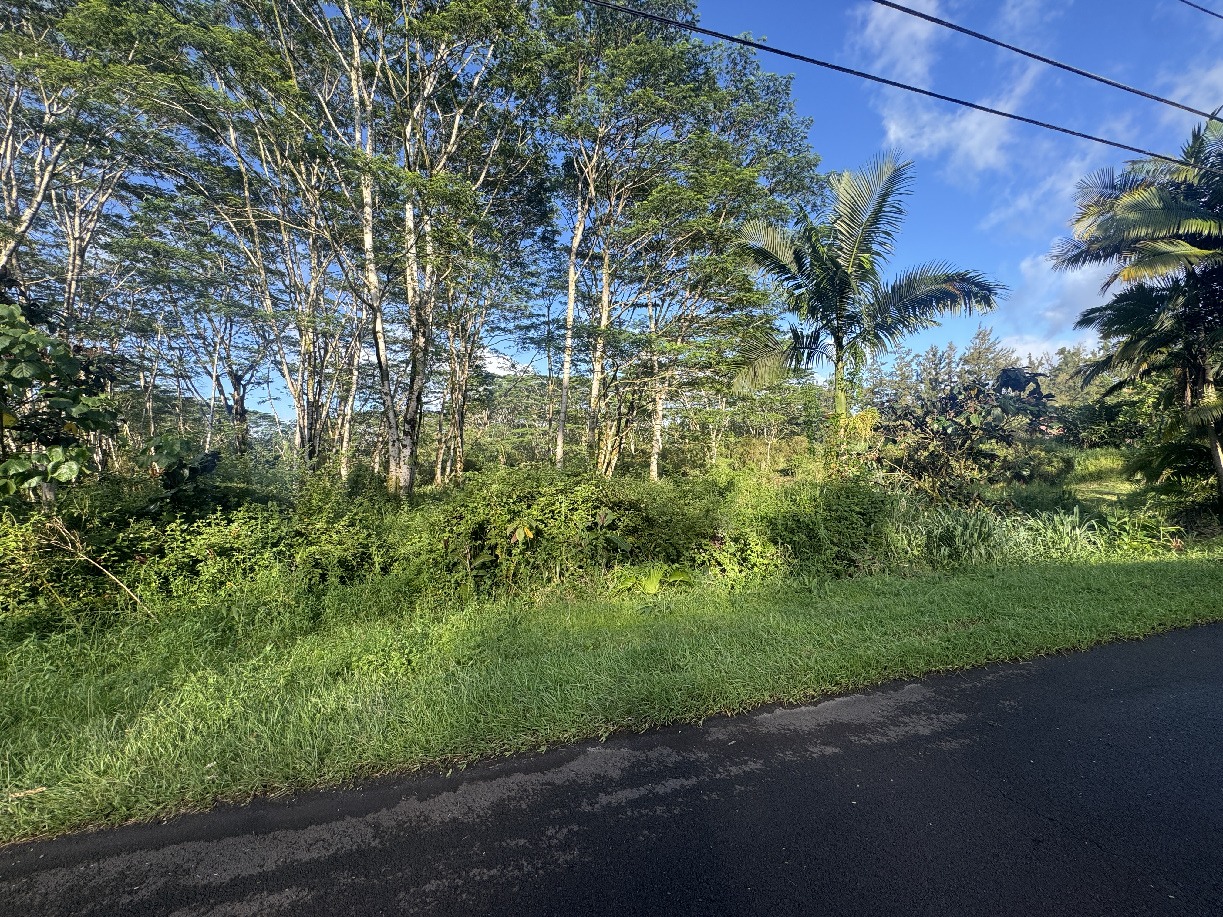 17-4070 Kukui Camp Rd Property Photo 9