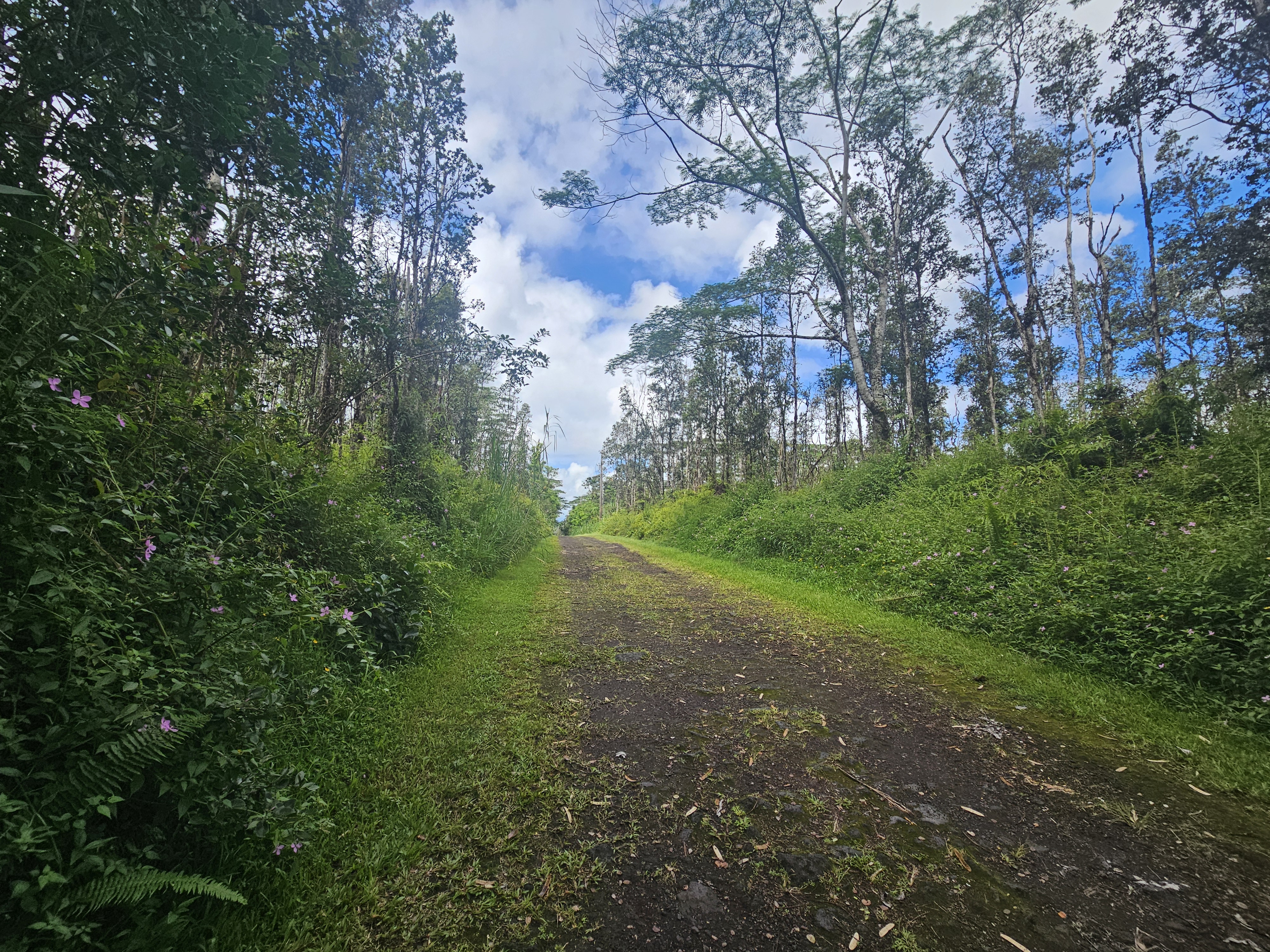 Hawaii Rd Property Photo 1