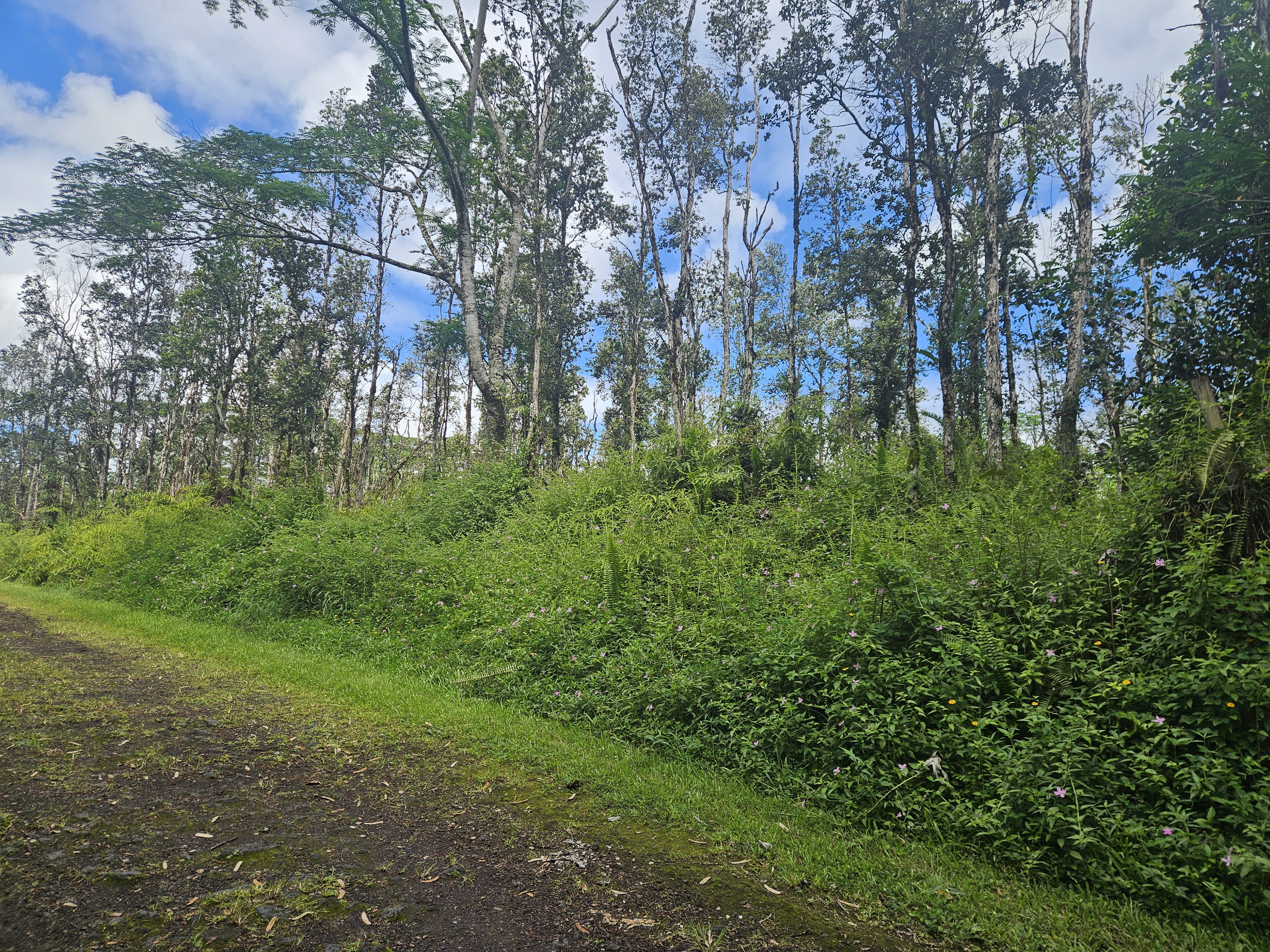 Hawaii Rd Property Photo 2