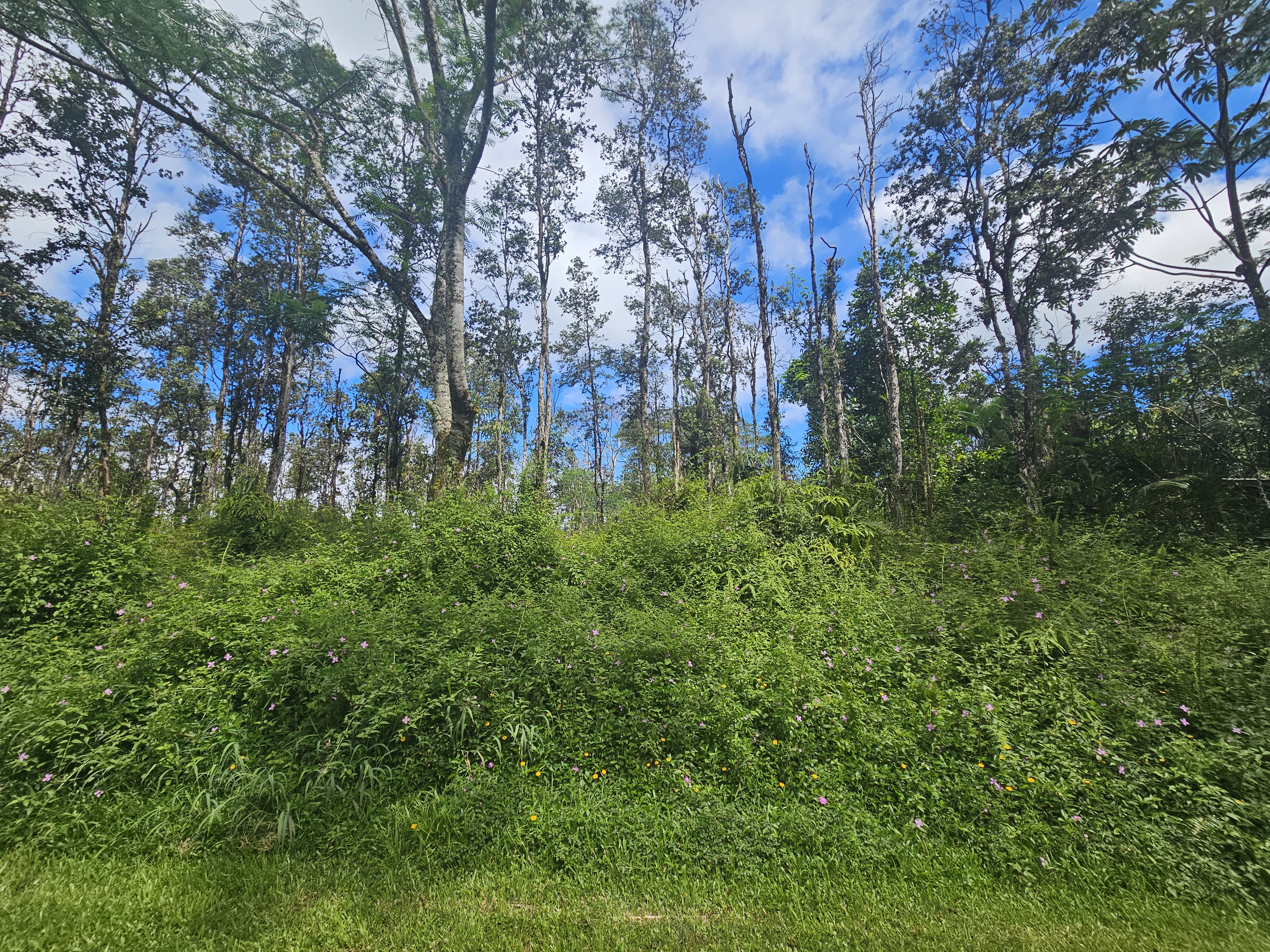 Hawaii Rd Property Photo 3