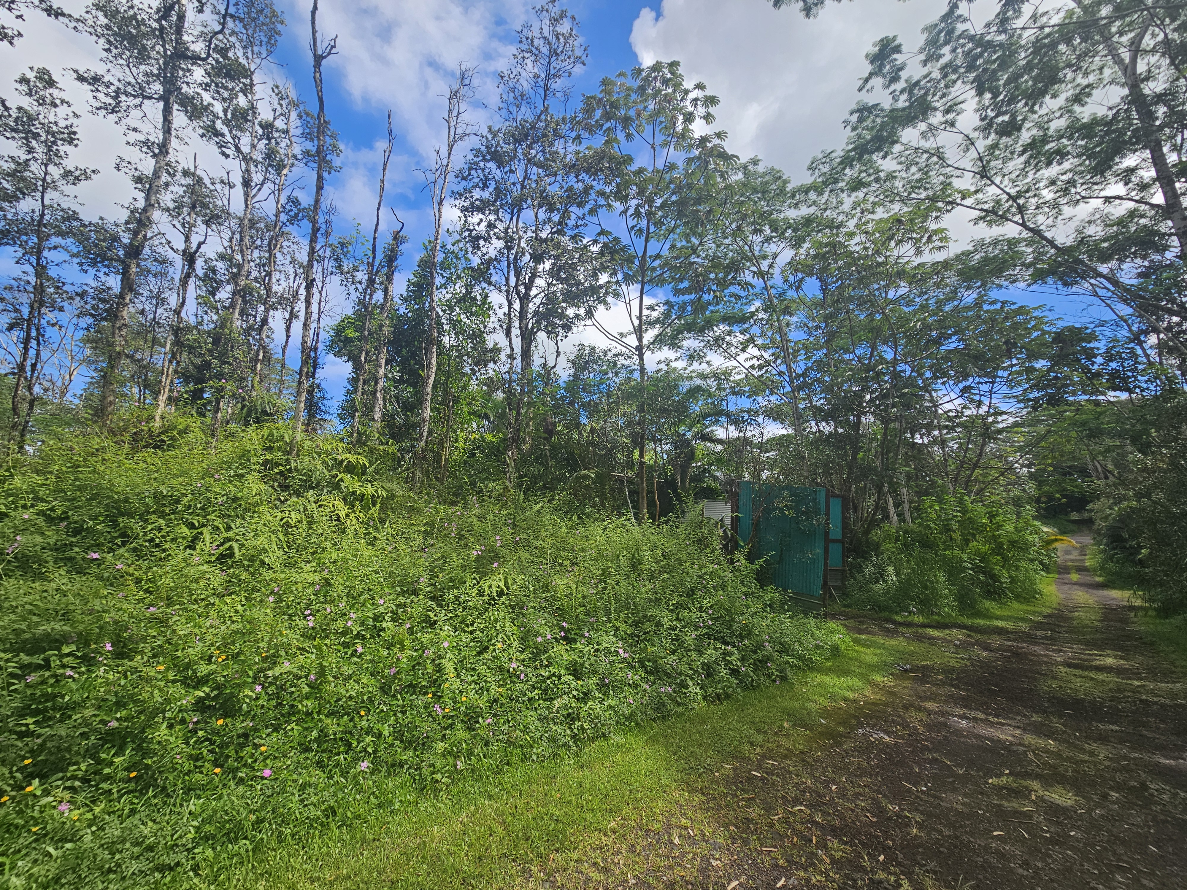 Hawaii Rd Property Photo 4