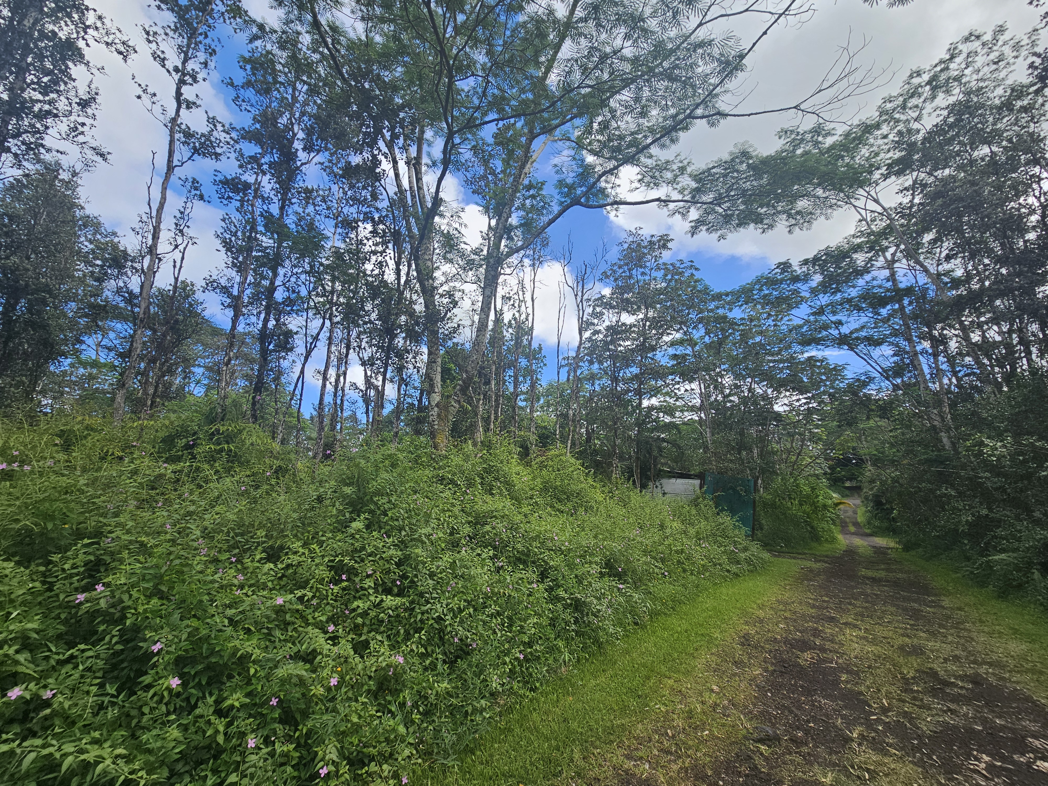 Hawaii Rd Property Photo 5