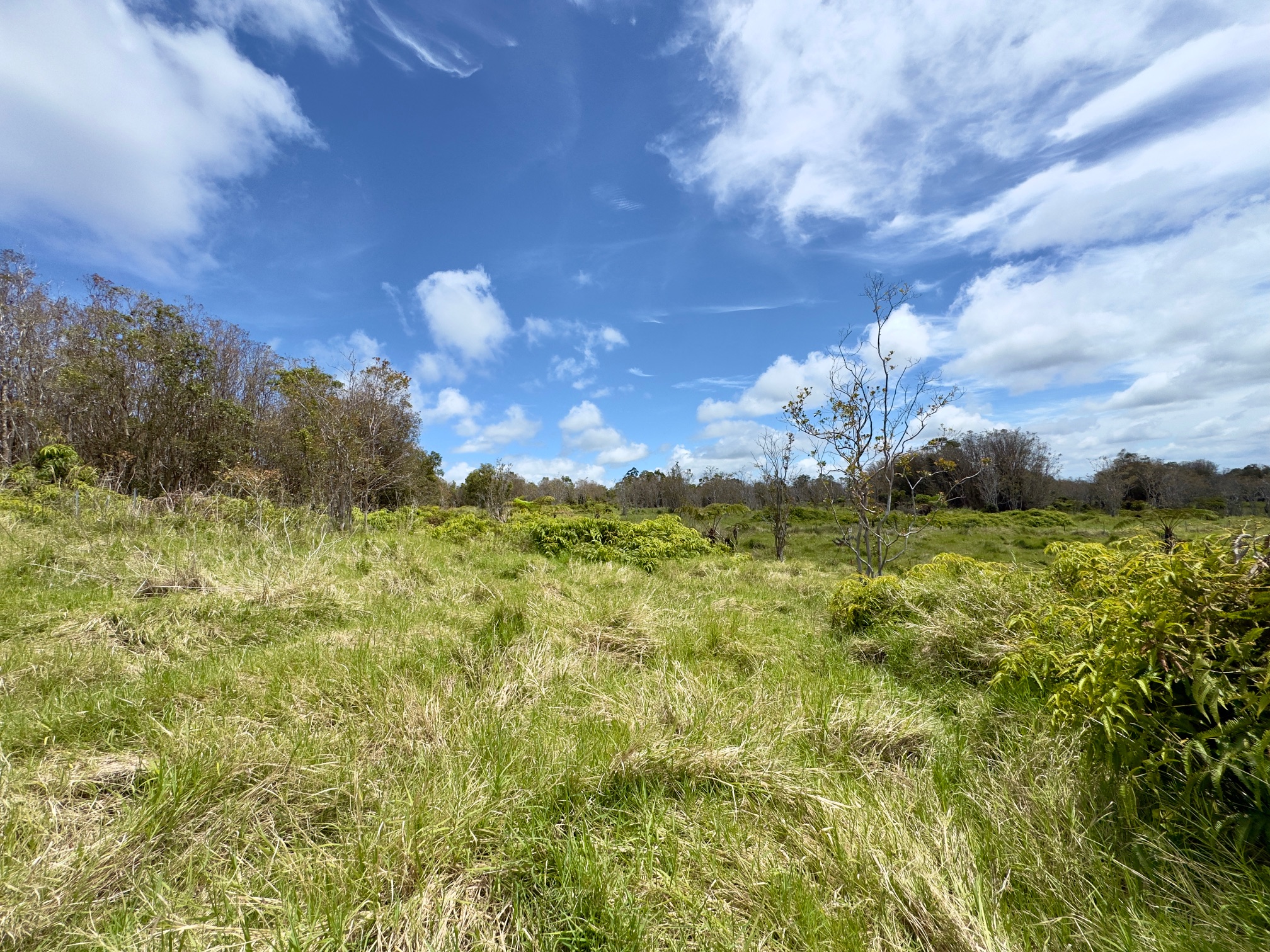 18-4292 Luna Ikena Rd Property Photo 3