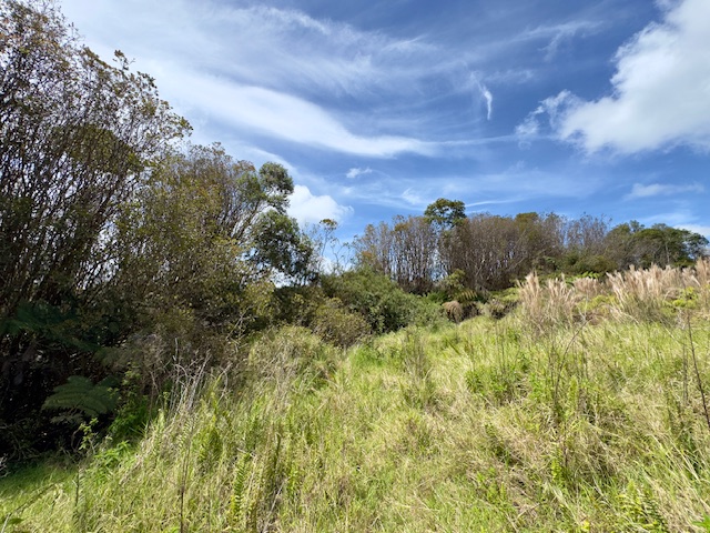 18-4292 Luna Ikena Rd Property Photo 5