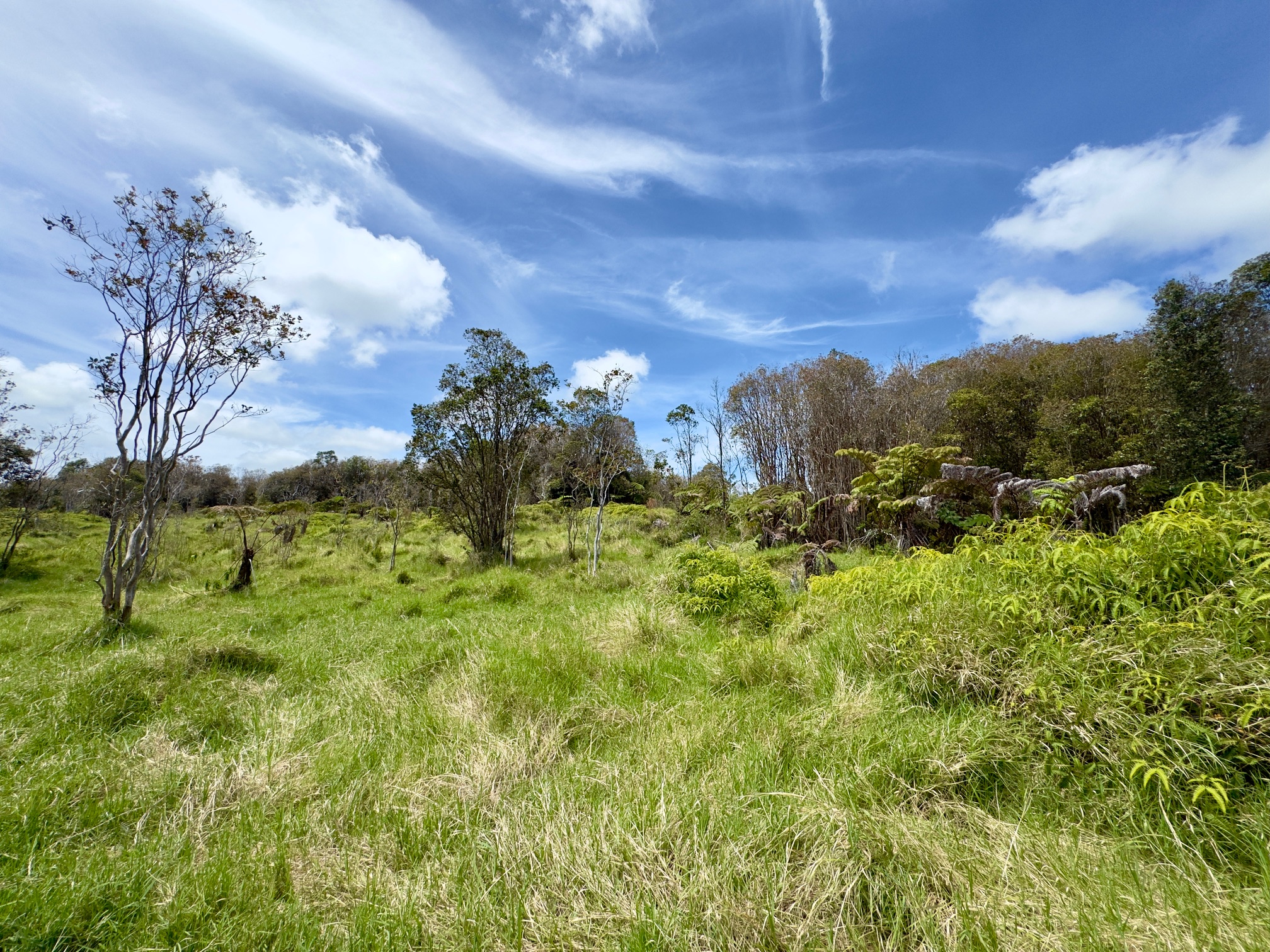 18-4292 Luna Ikena Rd Property Photo 8