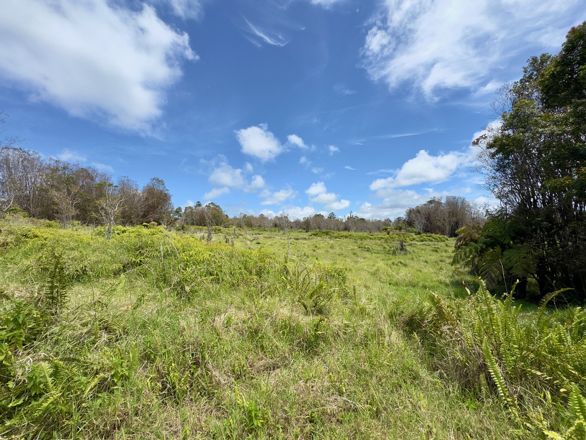 18-4292 Luna Ikena Rd Property Photo 10