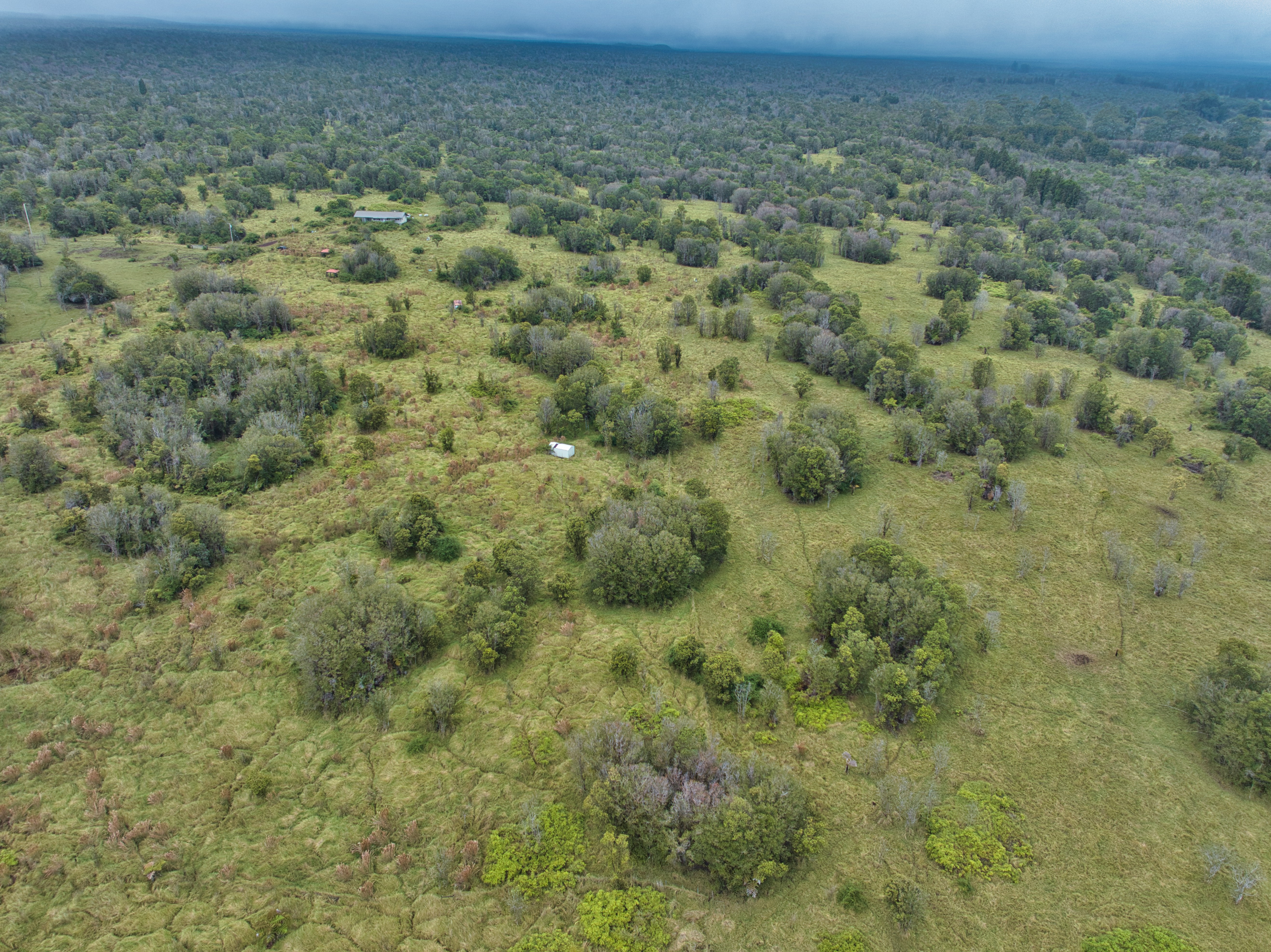 18-4292 Luna Ikena Rd Property Photo 13