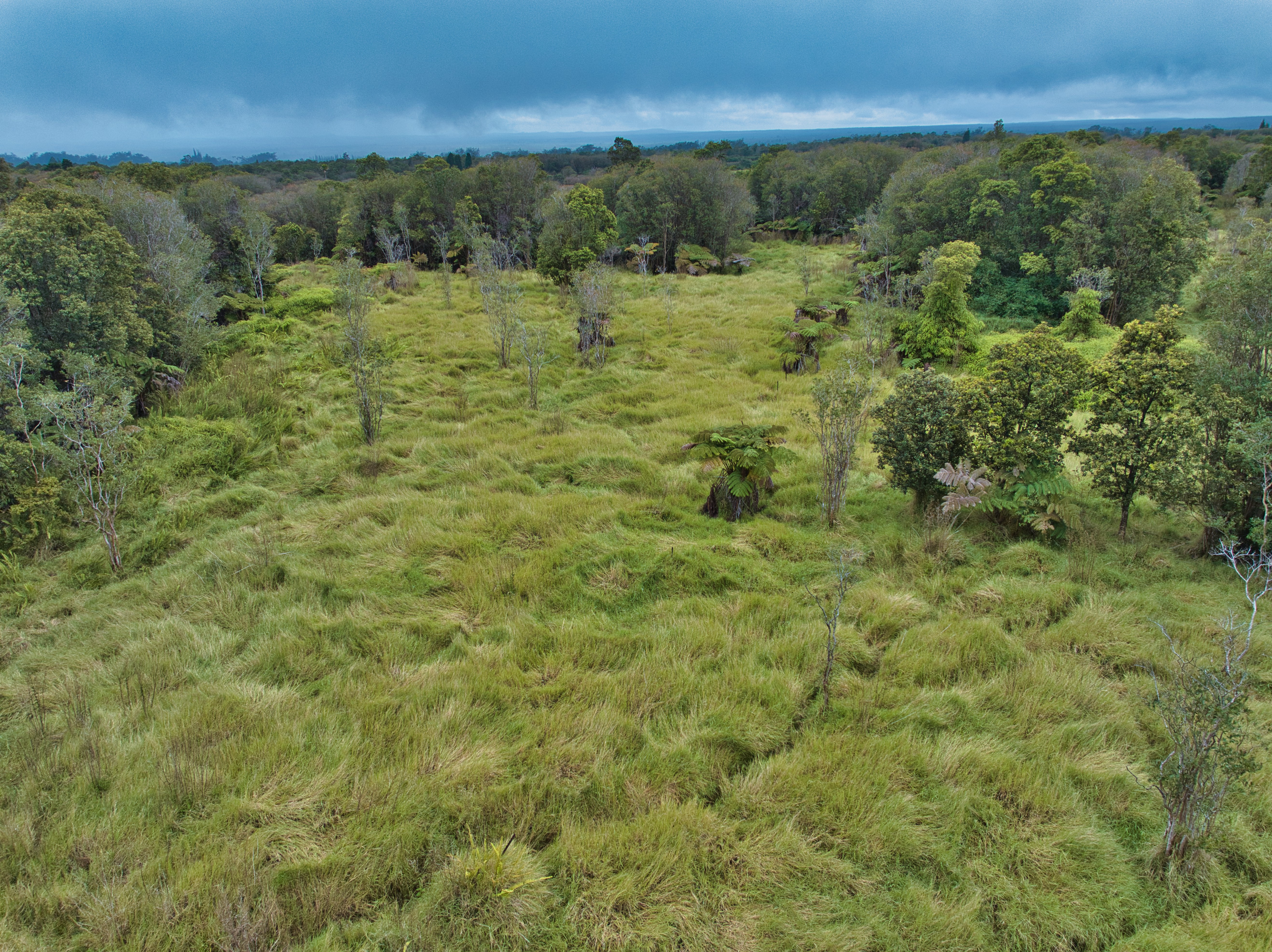 18-4292 Luna Ikena Rd Property Photo 15