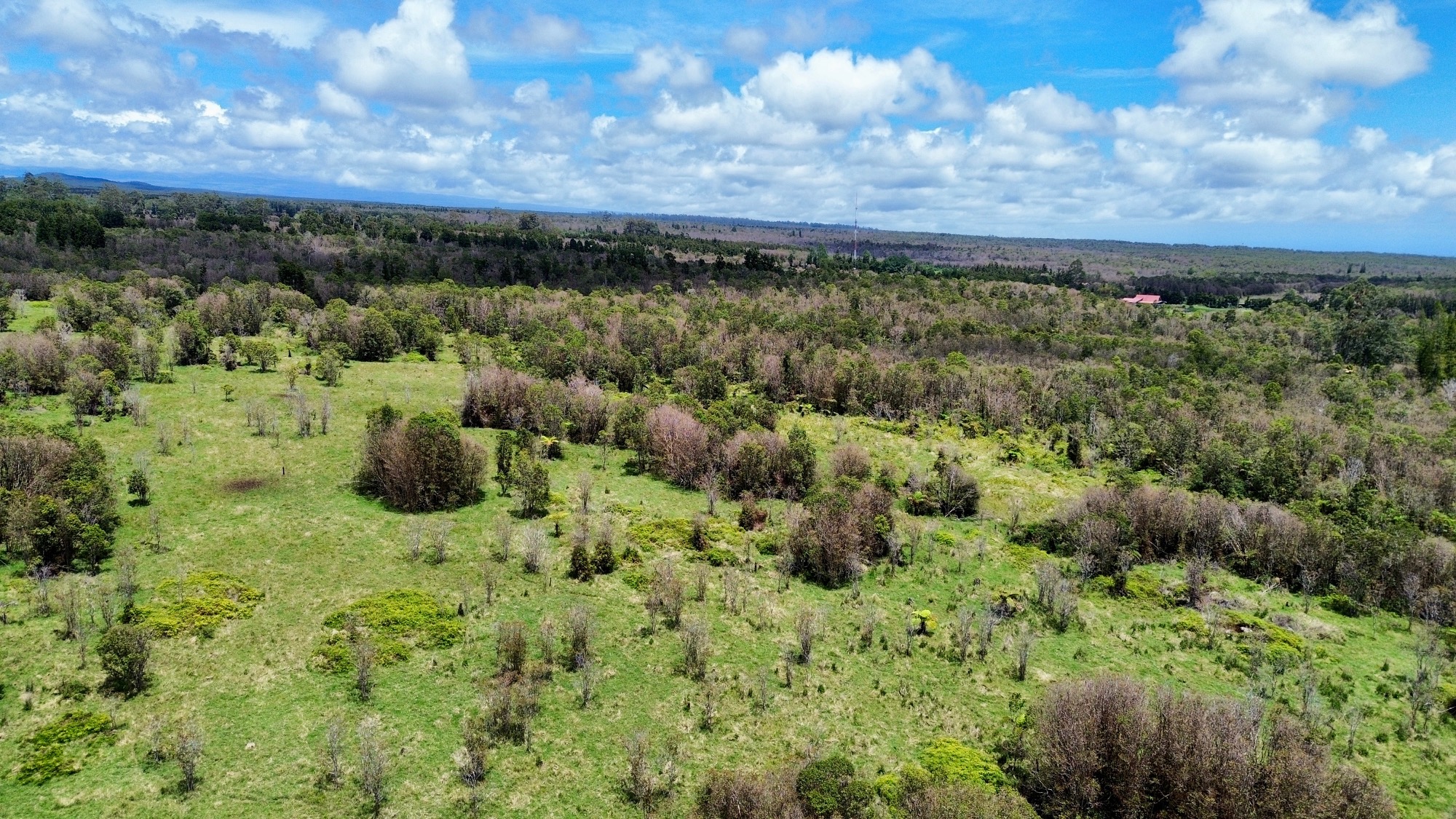 18-4292 Luna Ikena Rd Property Photo 16