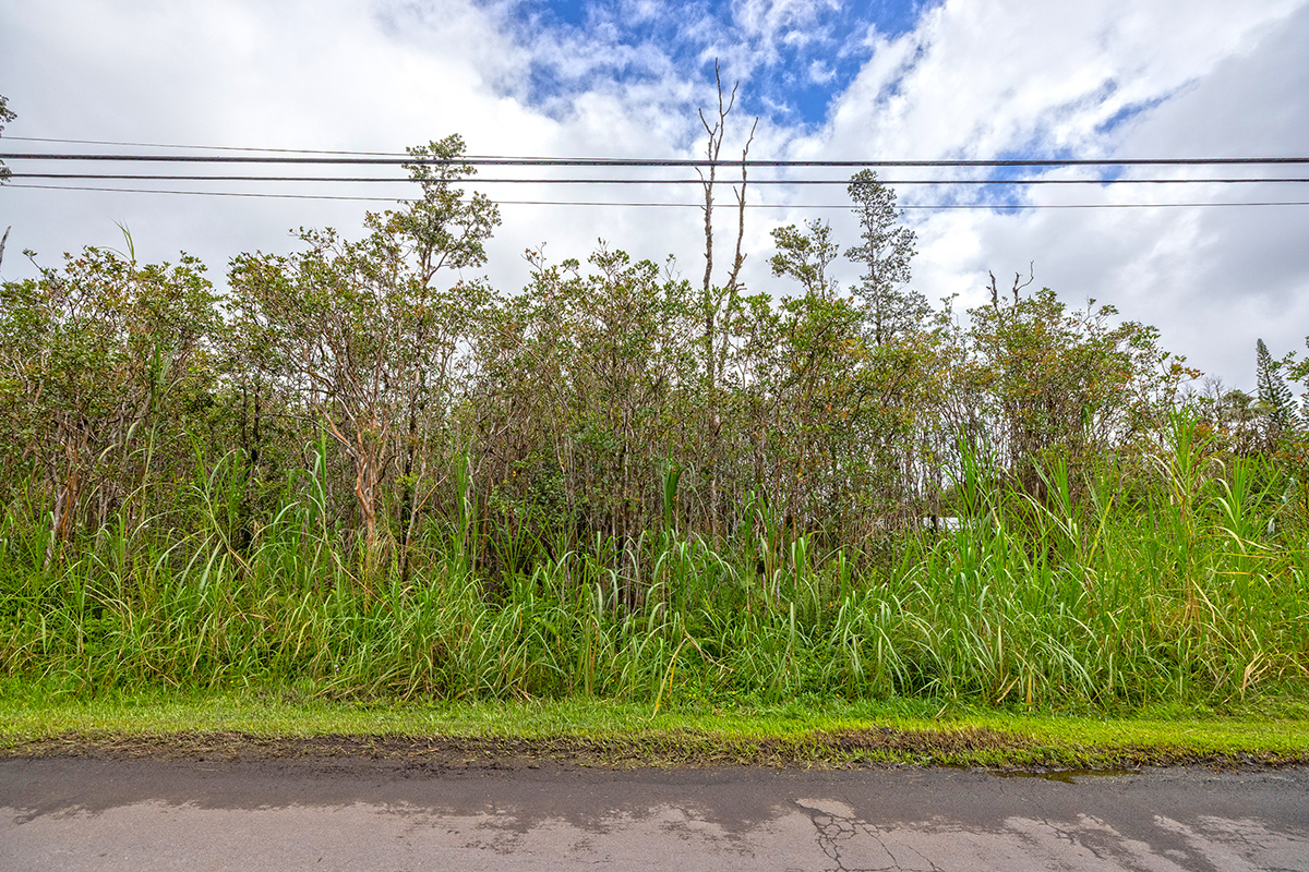 Plumeria St Property Photo 1