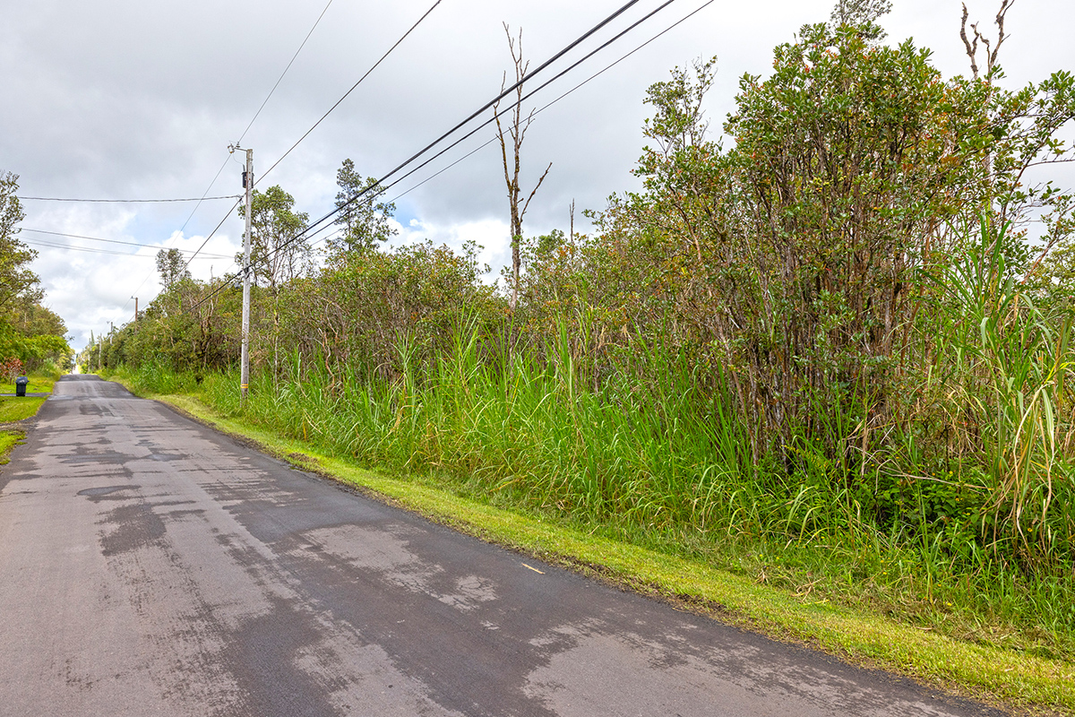 Plumeria St Property Photo 4