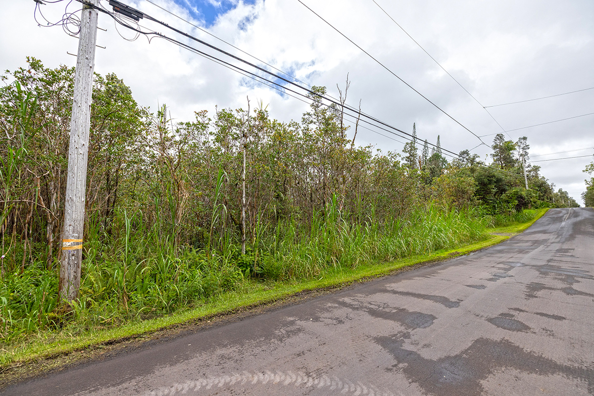 Plumeria St Property Photo 10