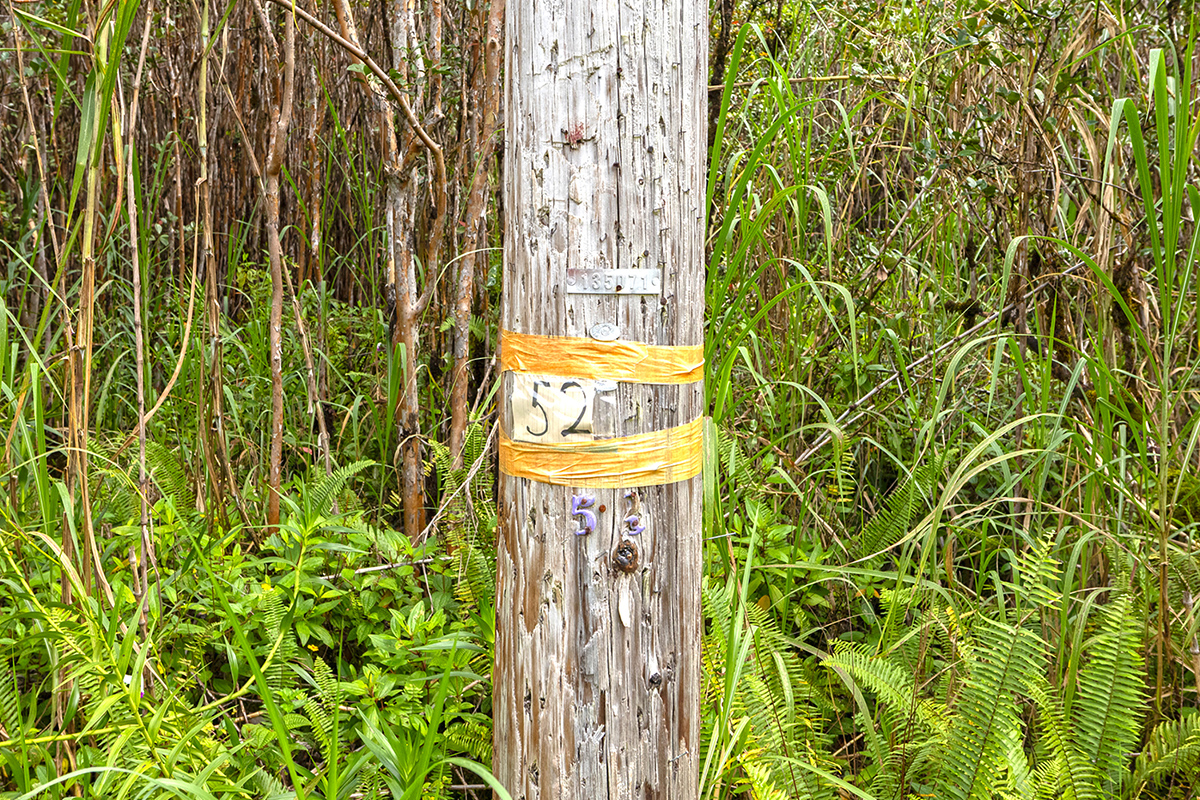 Plumeria St Property Photo 11