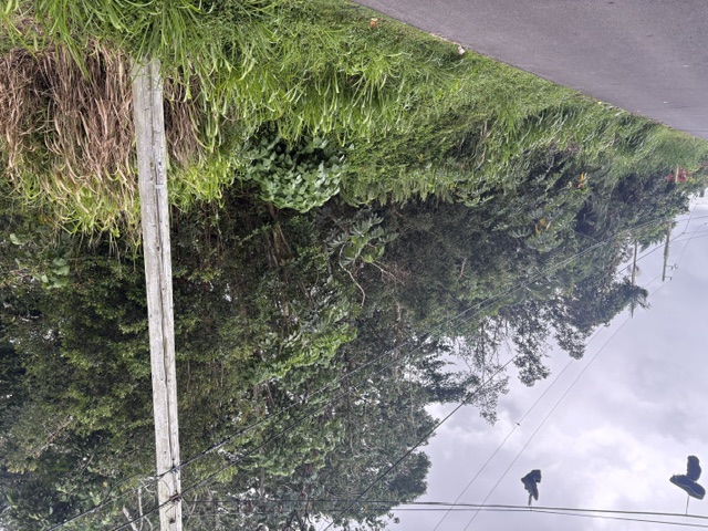 Iao St Property Photo 3