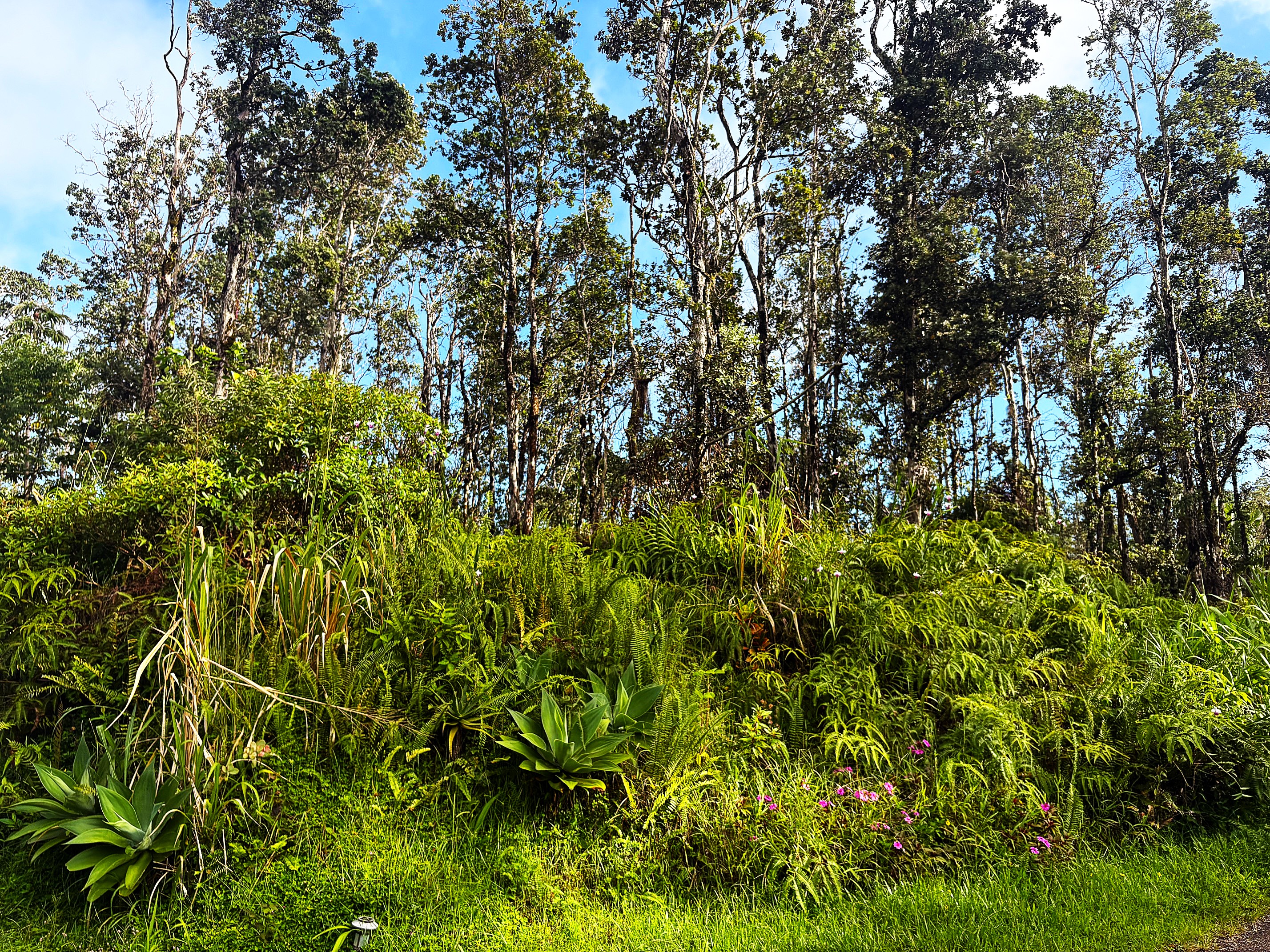 KALAPANA ST Property Photo 1