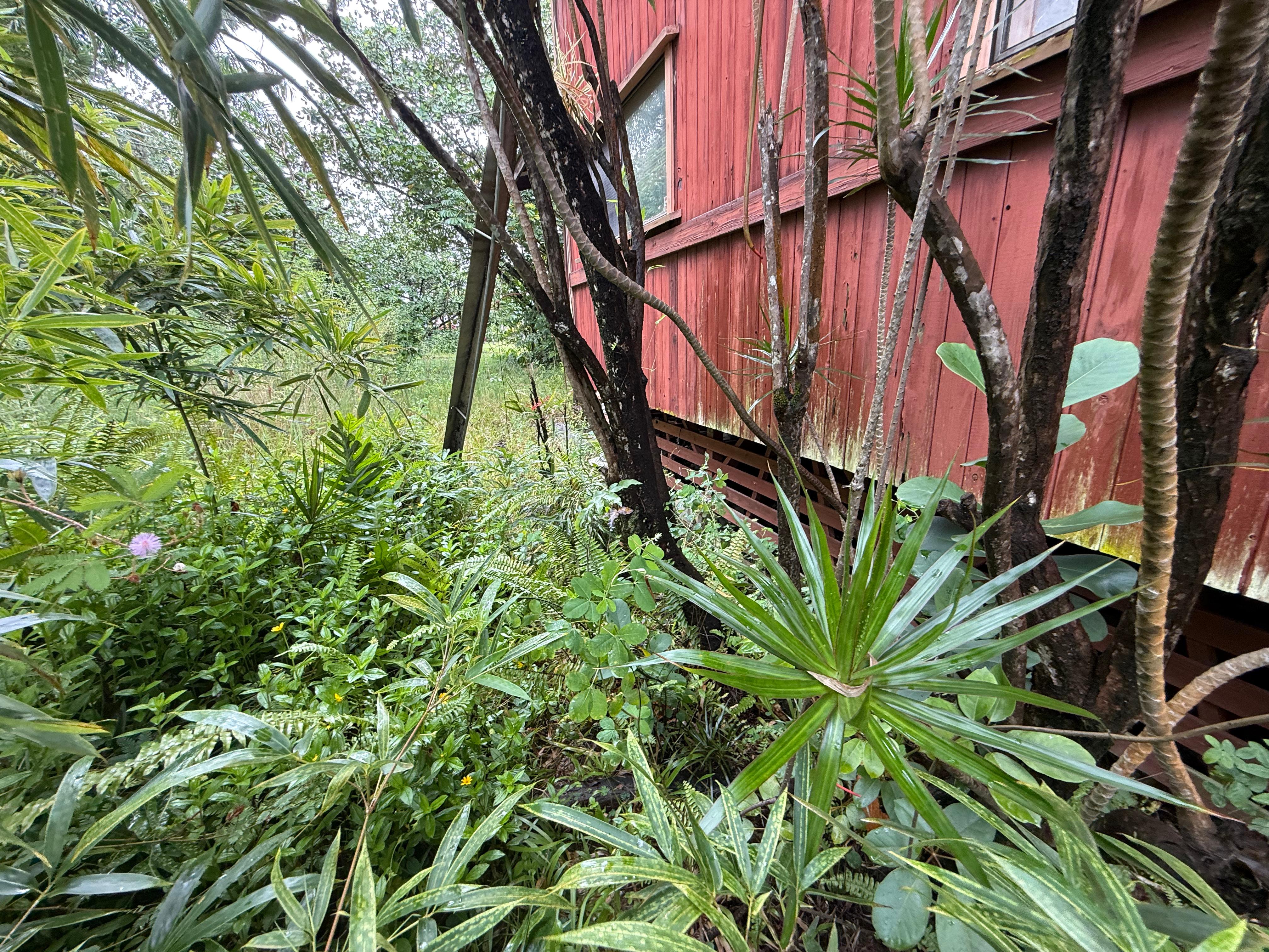 15-1011 Amau Rd Property Photo 22
