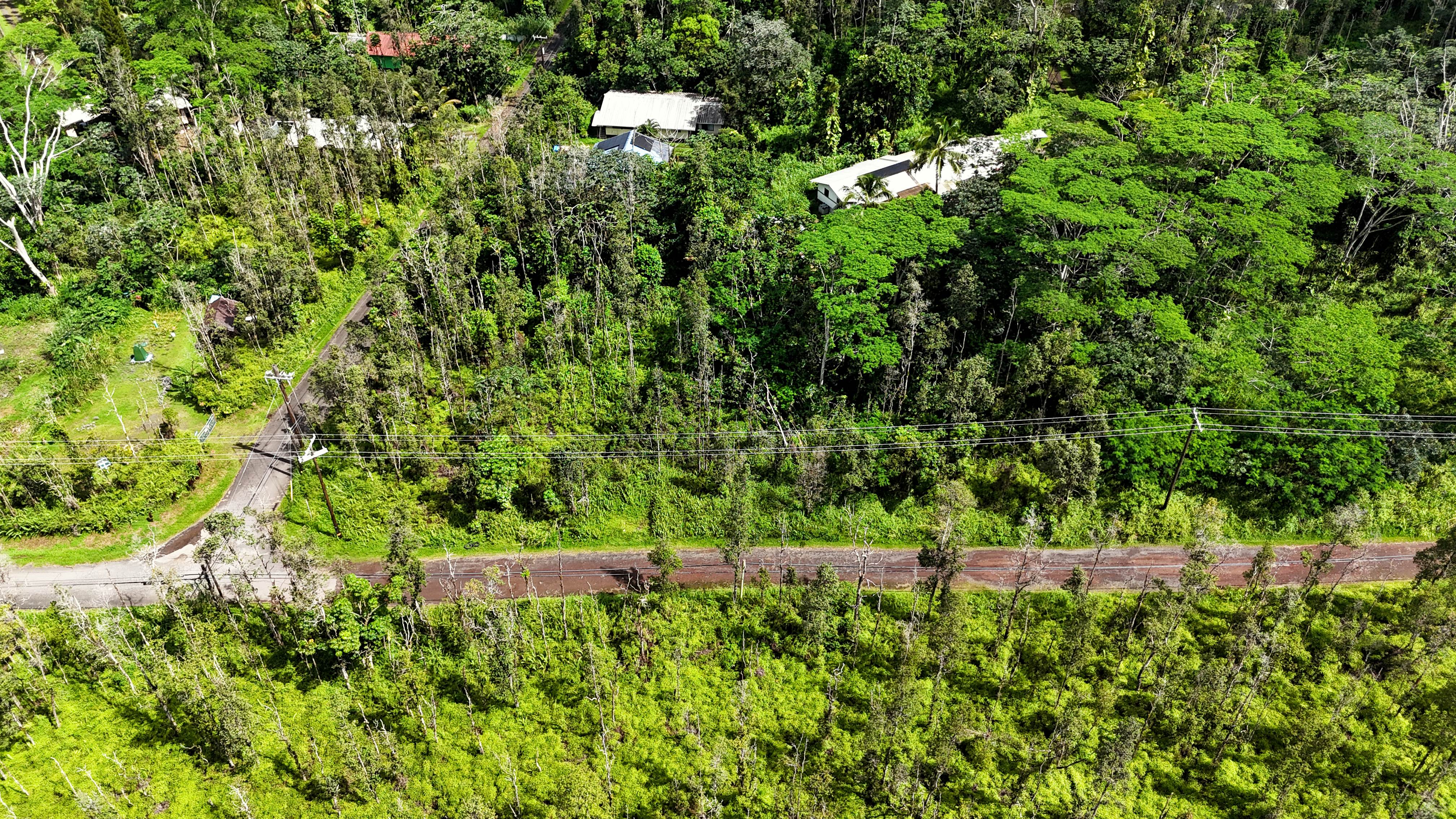 Forest Rd Property Photo 6