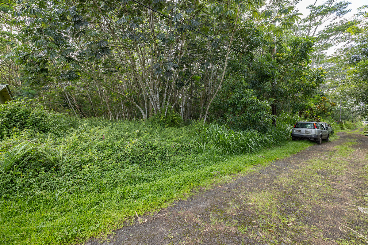 PAHOA RD Property Photo 1