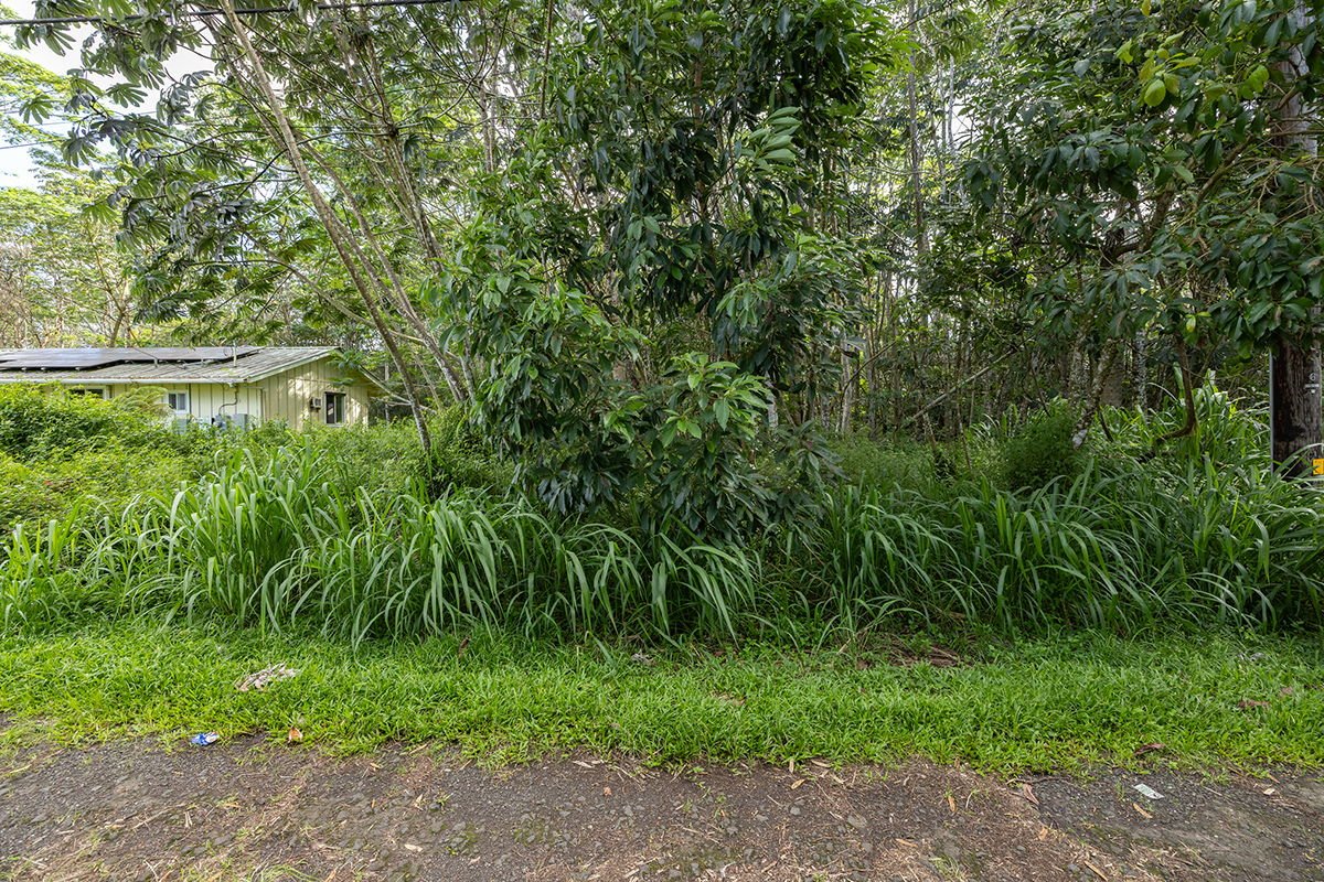Pahoa Rd Property Photo 2