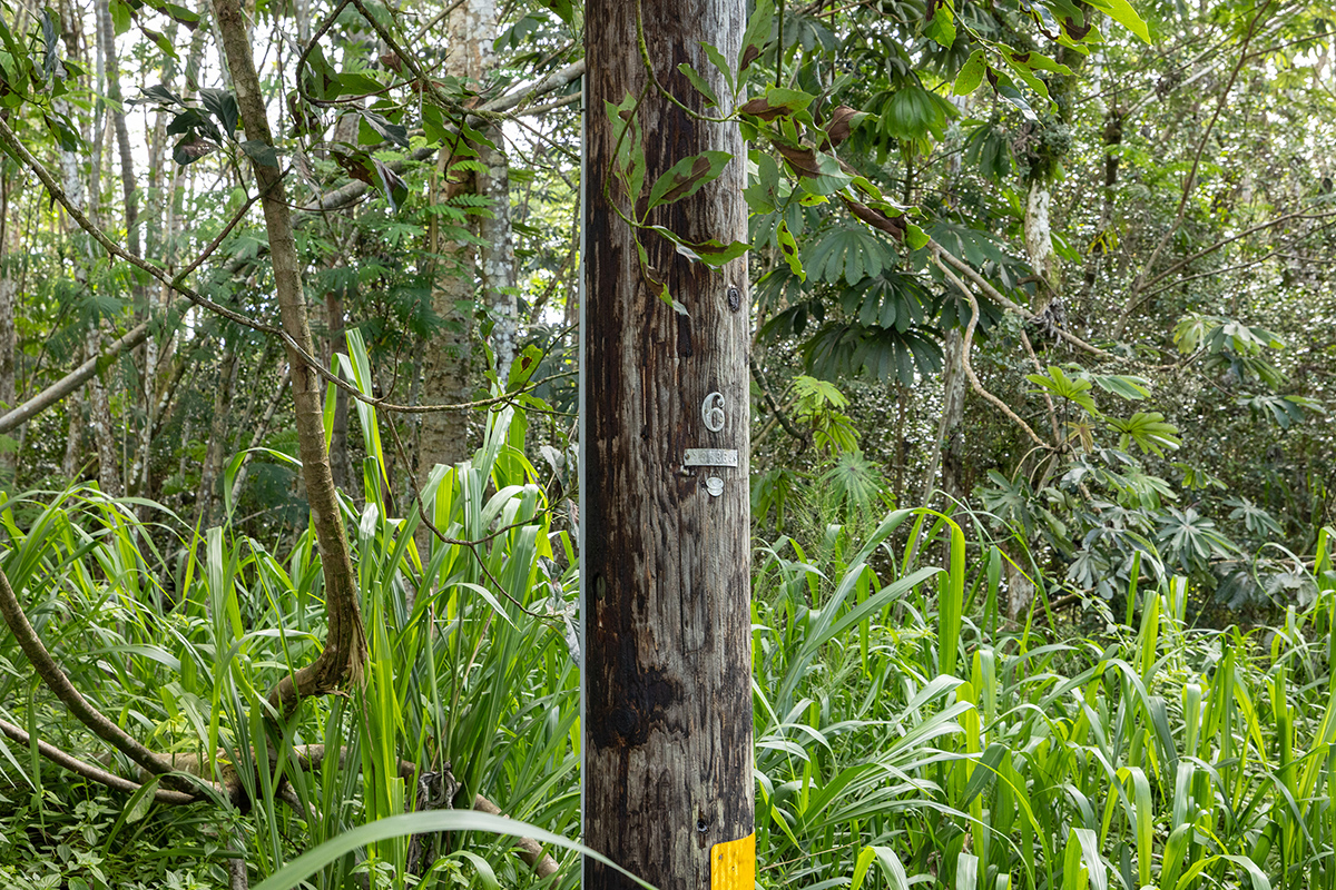 Pahoa Rd Property Photo 4