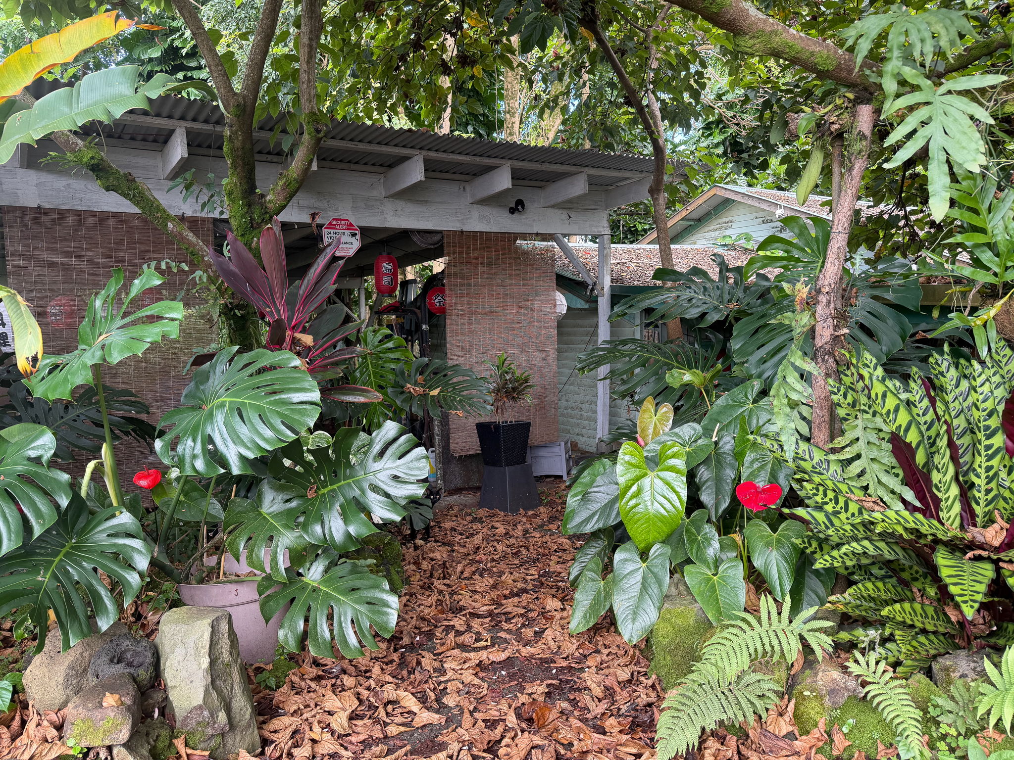 28-188 Honomu Rd Property Photo 5