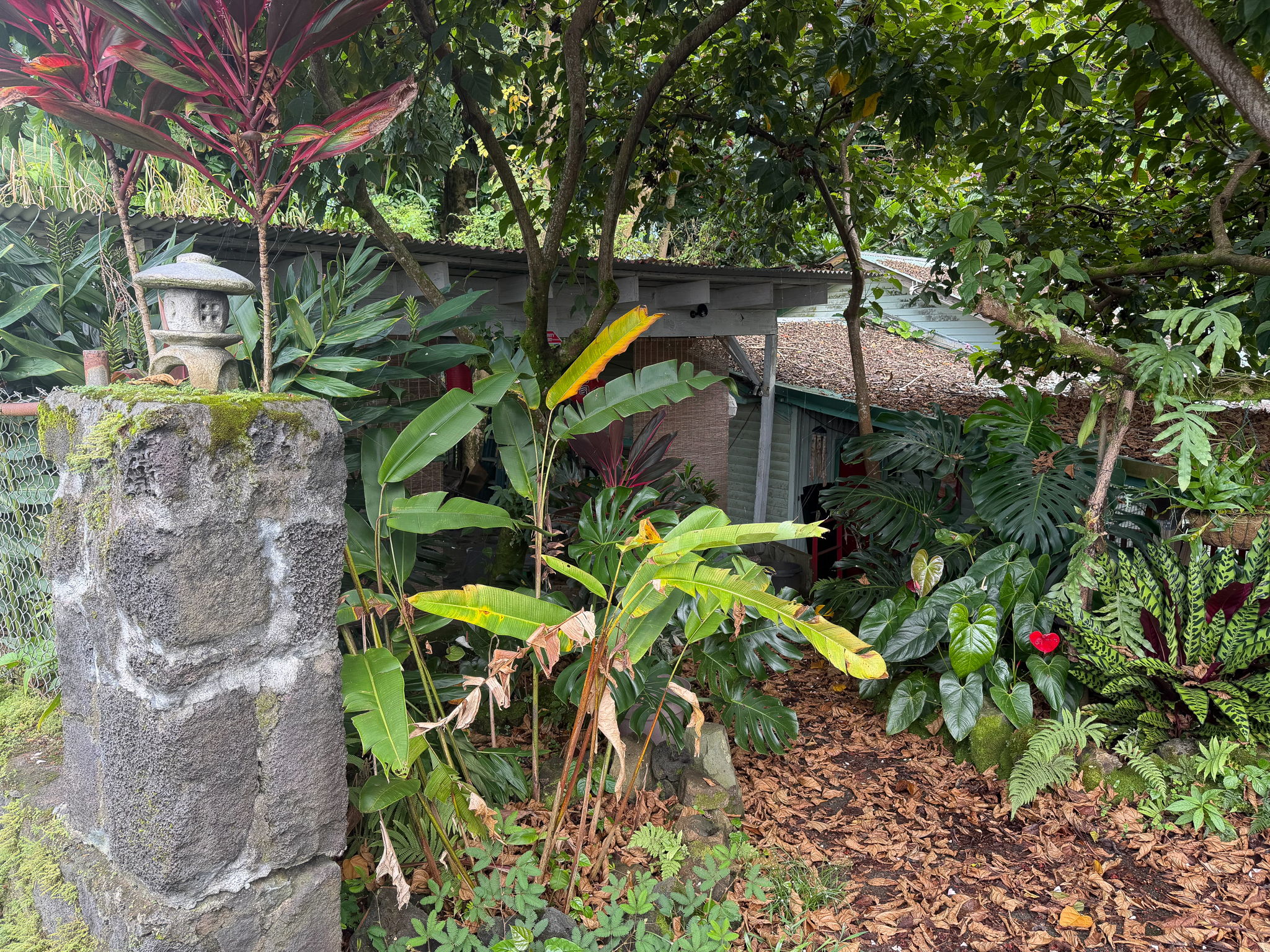 28-188 Honomu Rd Property Photo 7
