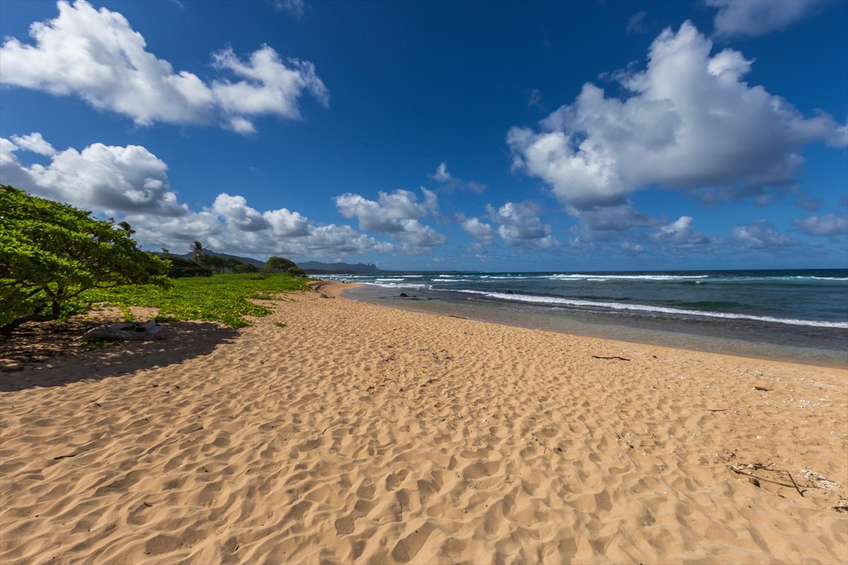 4331 Kauai Beach Dr 3216 Property Photo 22