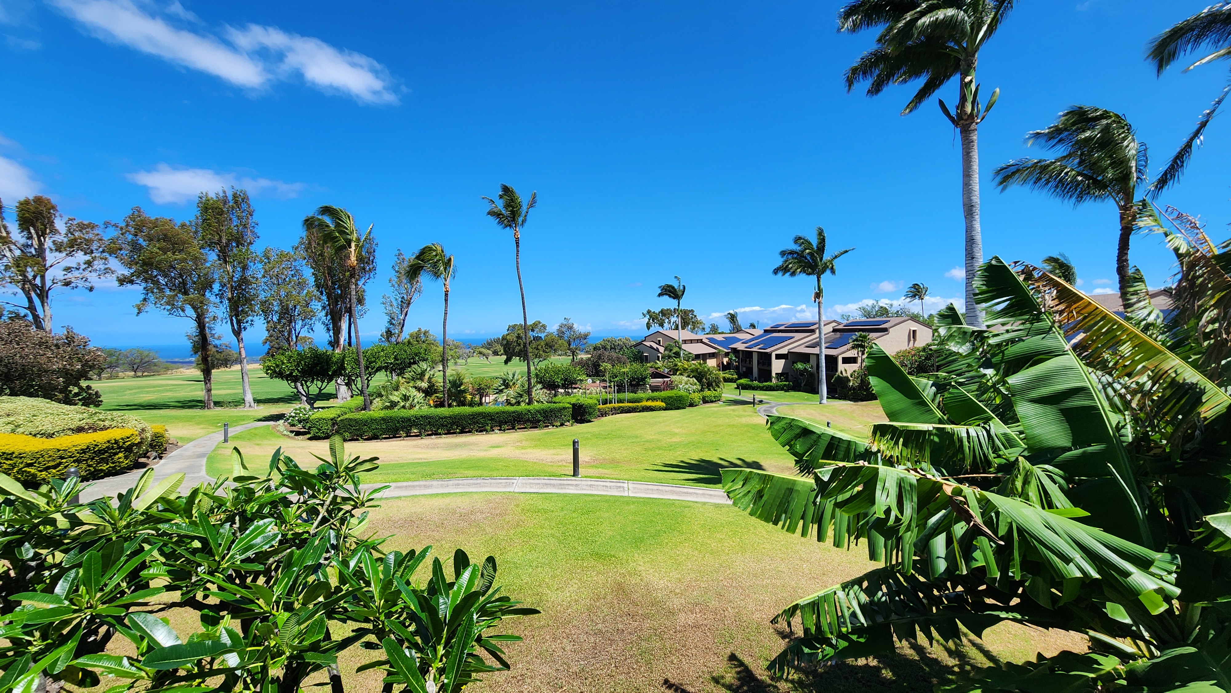 68-3840 Lua Kula St D203 Property Photo 1