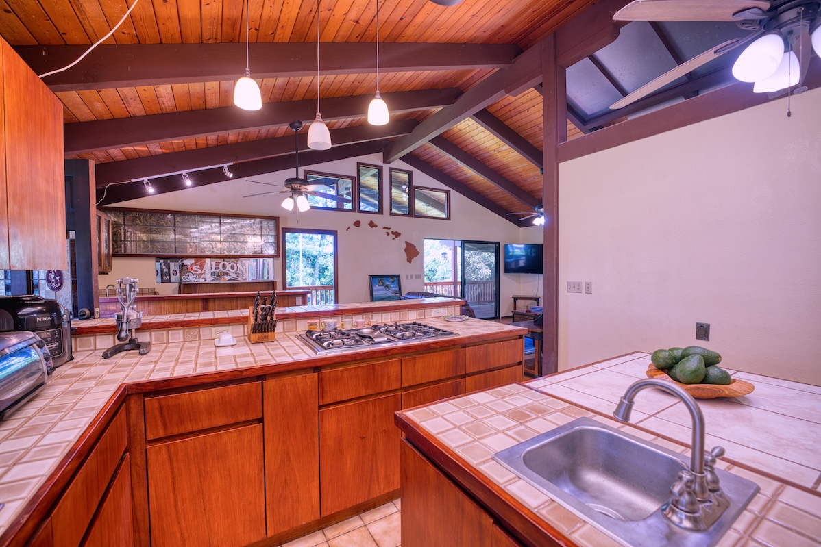 15-167 N Puni Lapa Loop Property Photo 3