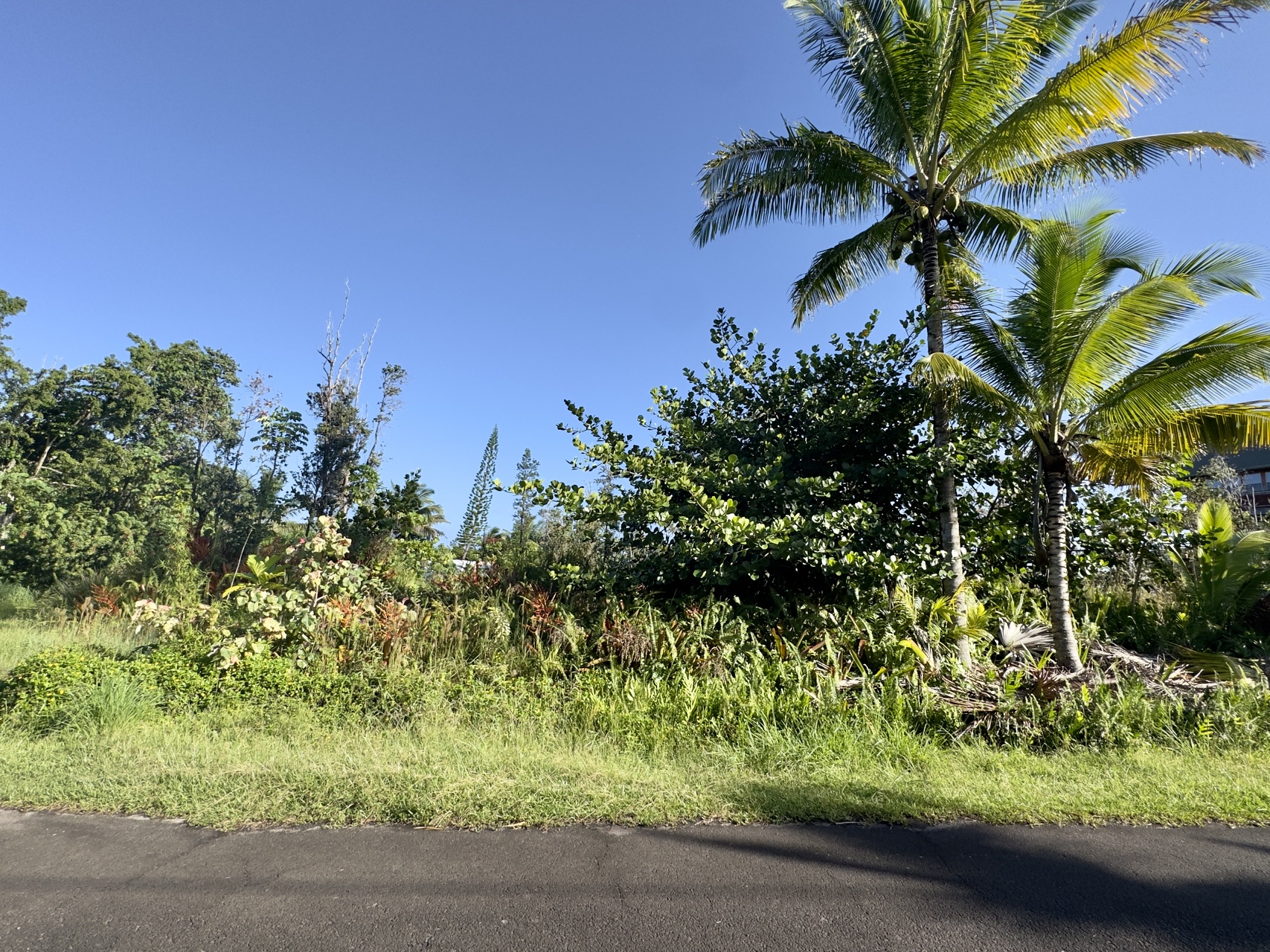 Oliana Dr Property Photo 1