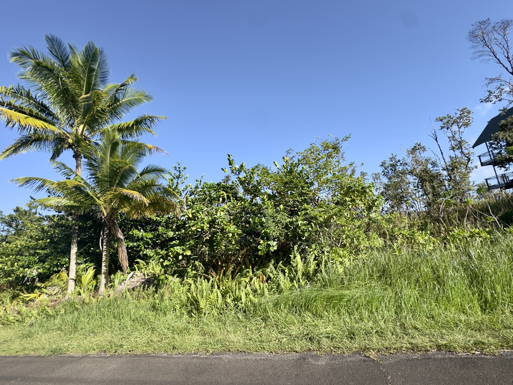 Oliana Dr Property Photo 2