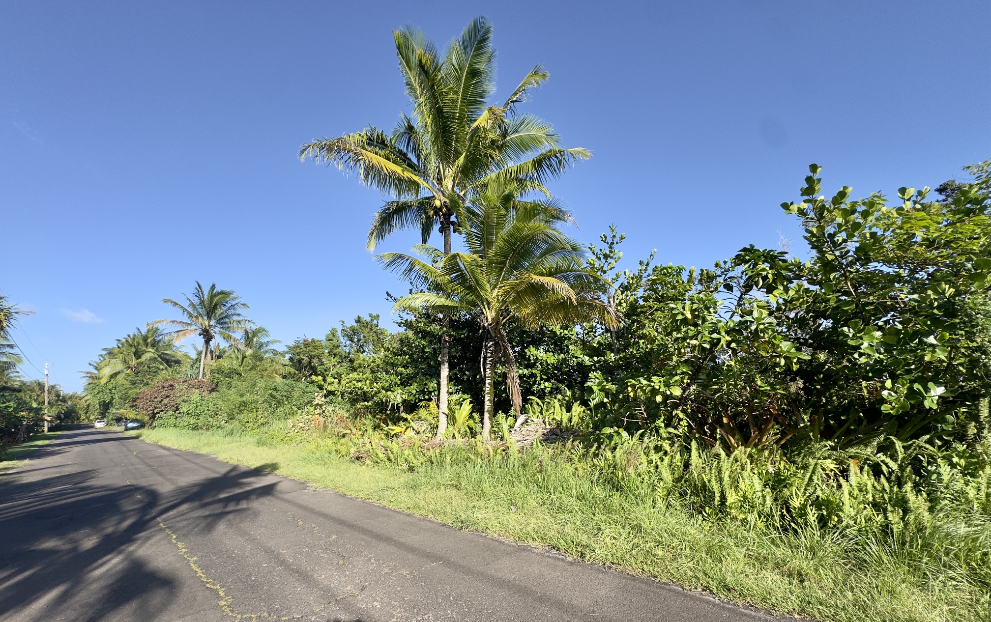 Oliana Dr Property Photo 3