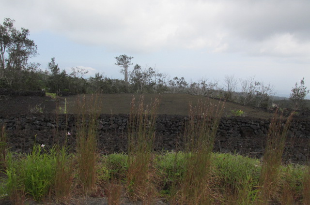 Island Blvd Property Photo 9