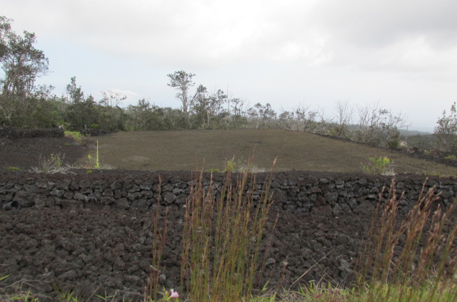 Island Blvd Property Photo 10
