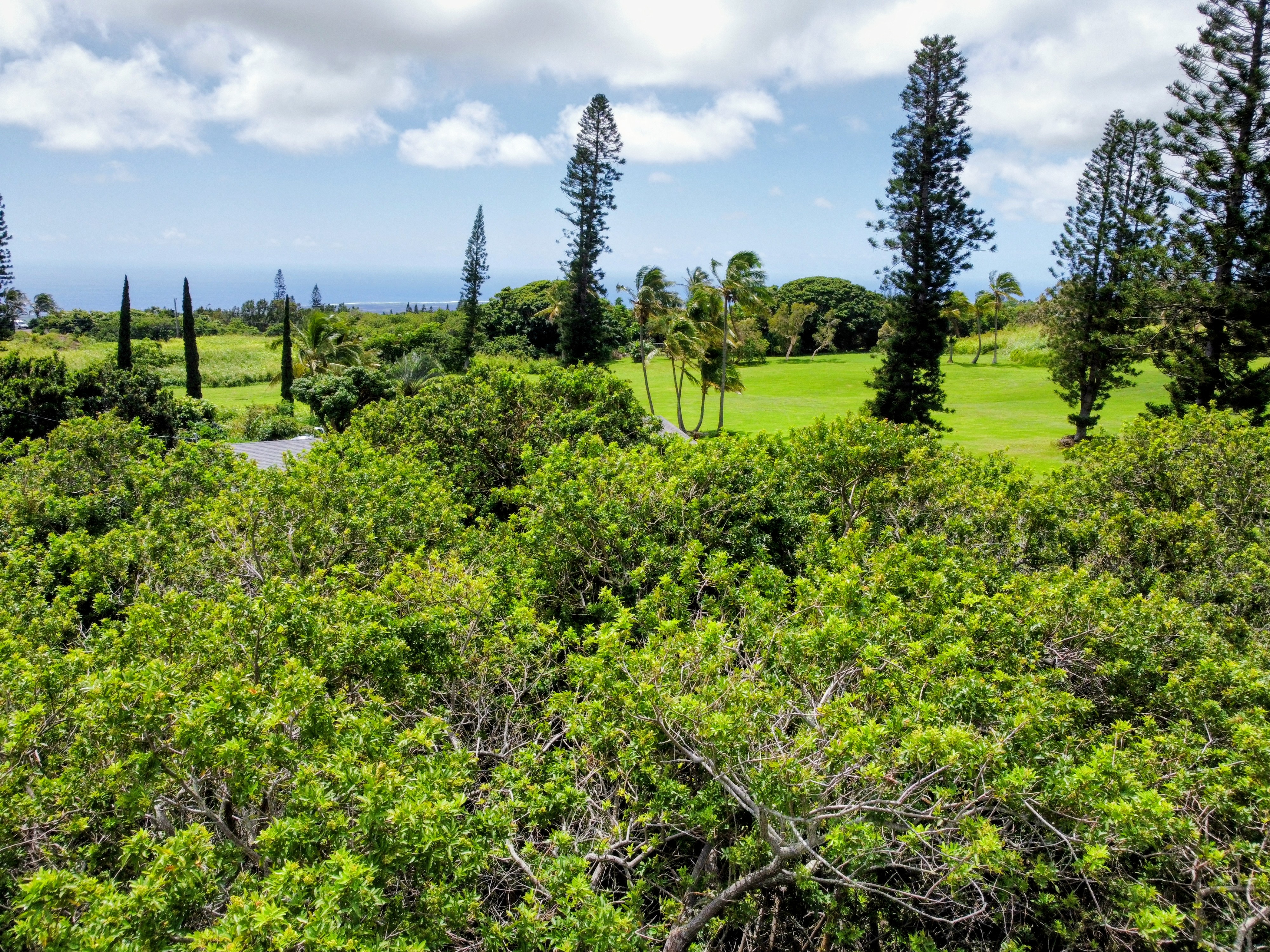Lewa Lani Pl Property Photo 13
